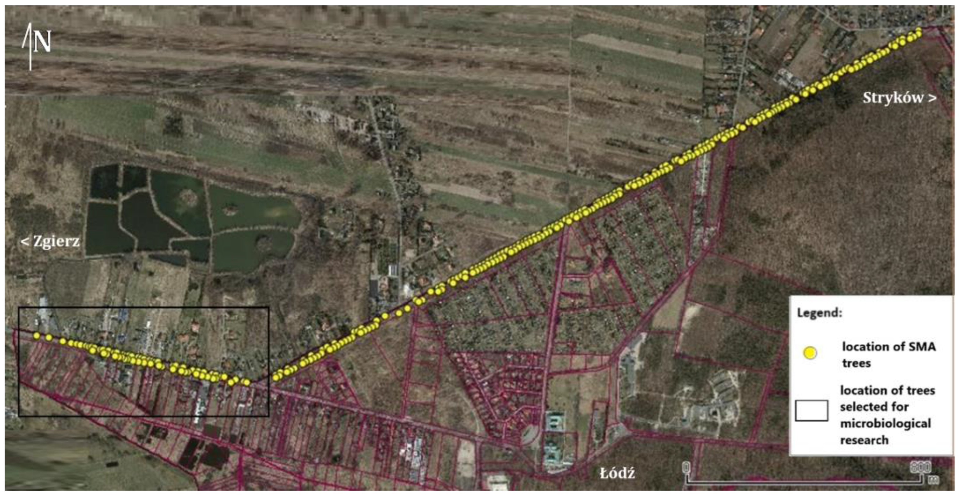 Sustainability 17 03724 g004