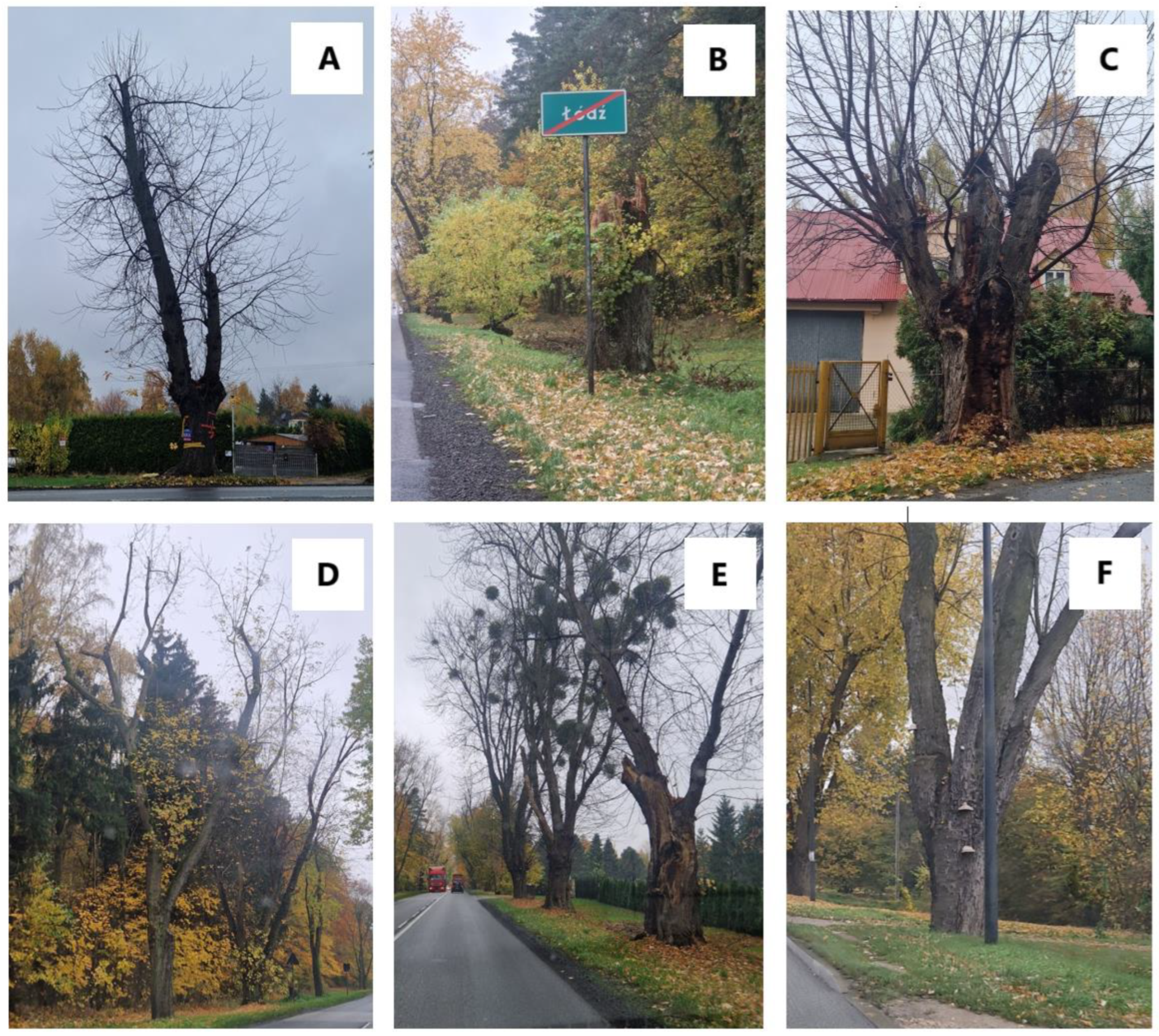 Sustainability 17 03724 g006