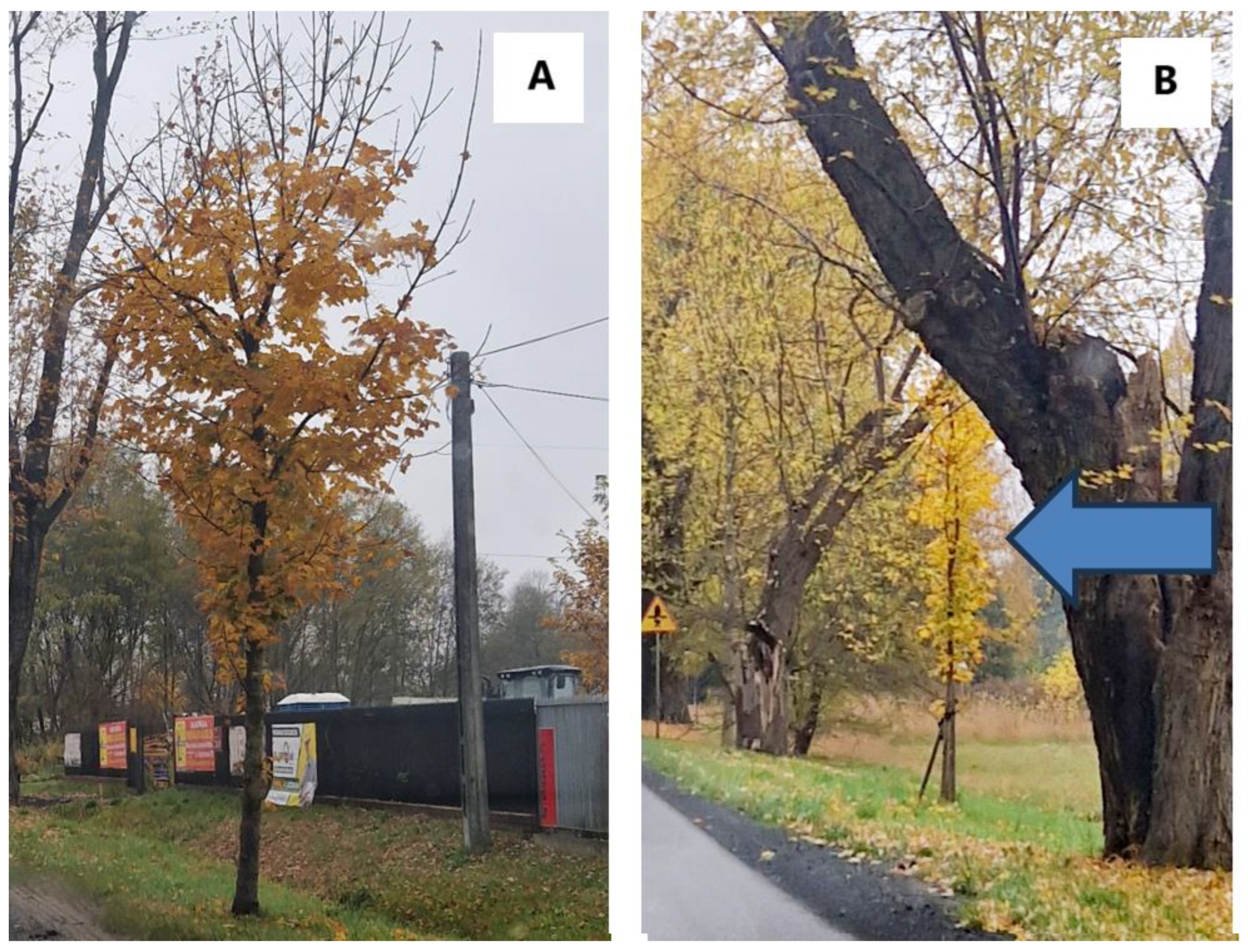 Sustainability 17 03724 g010