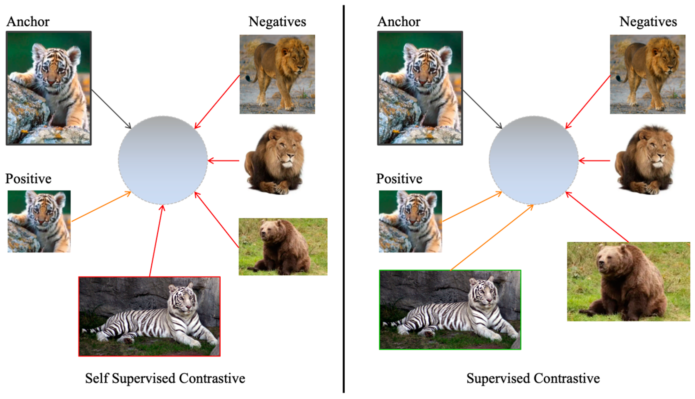 Sustainability 17 03922 g004