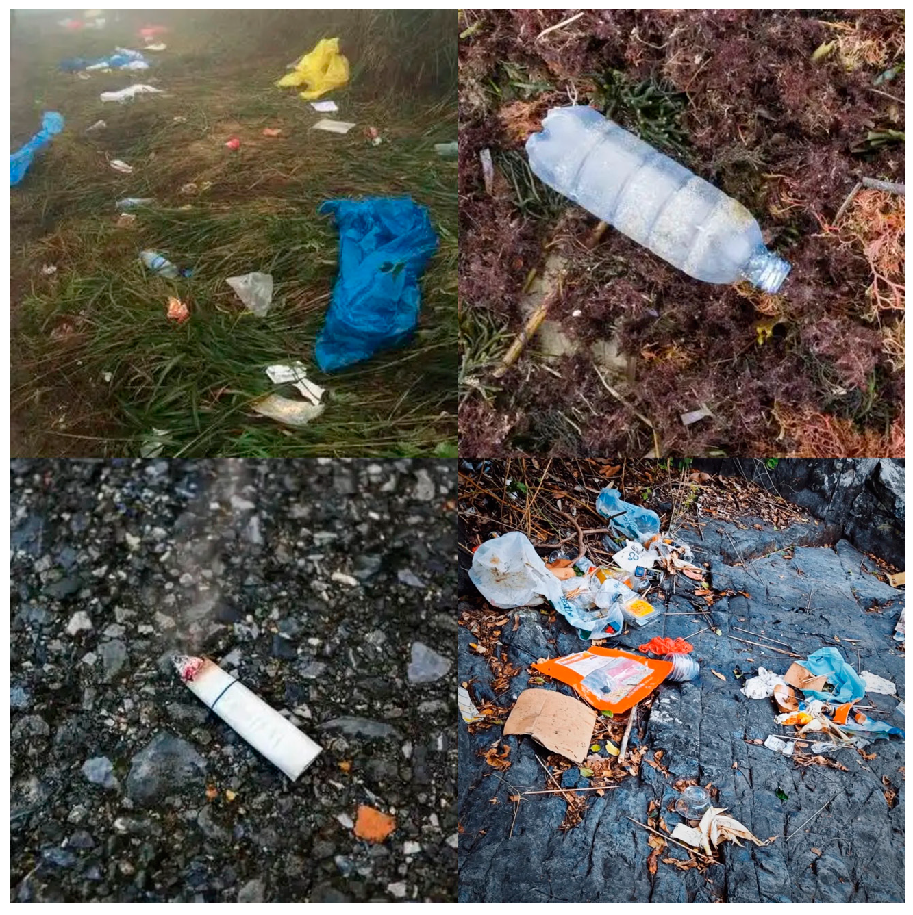 Sustainability 17 03922 g006