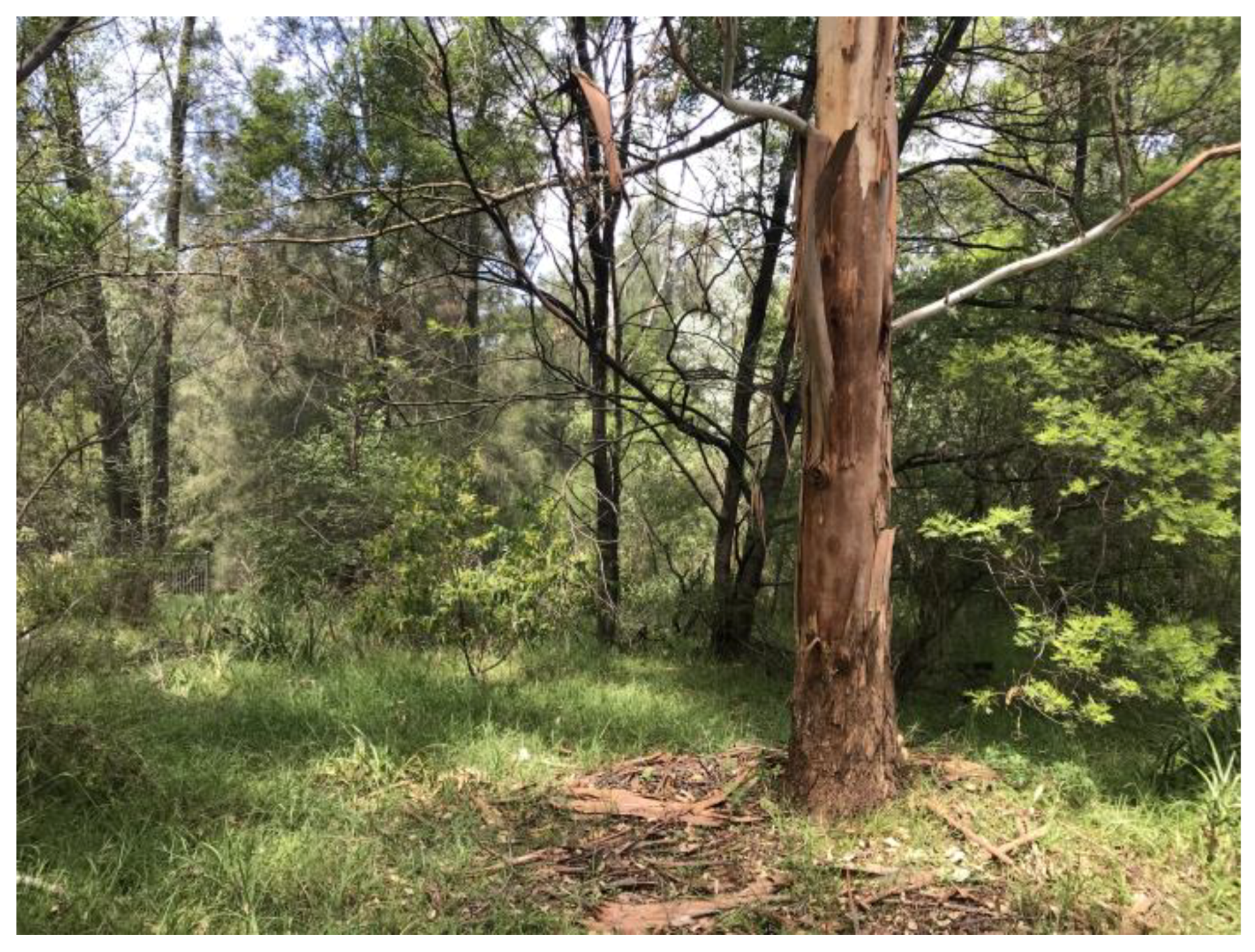 Sustainability 17 04143 g011