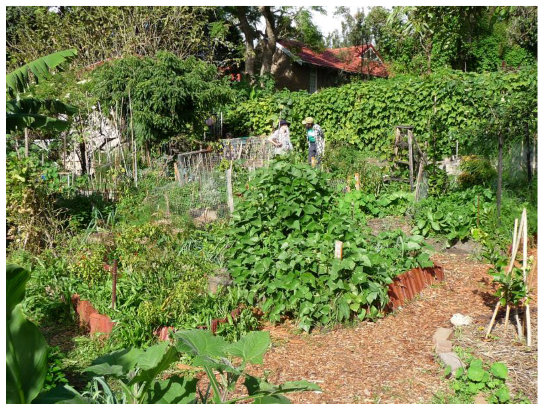 Sustainability 17 04143 g013