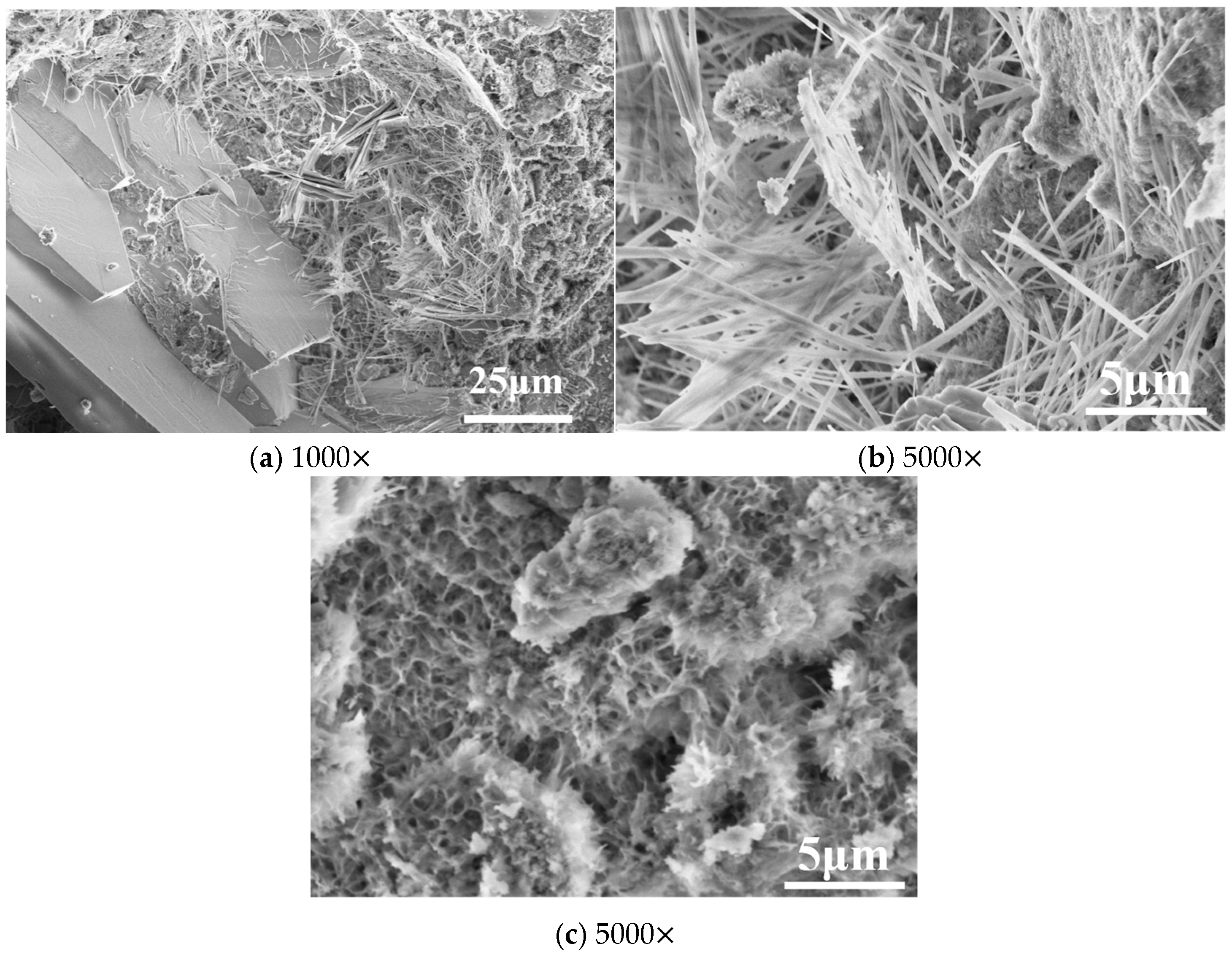 Sustainability 17 06317 g016