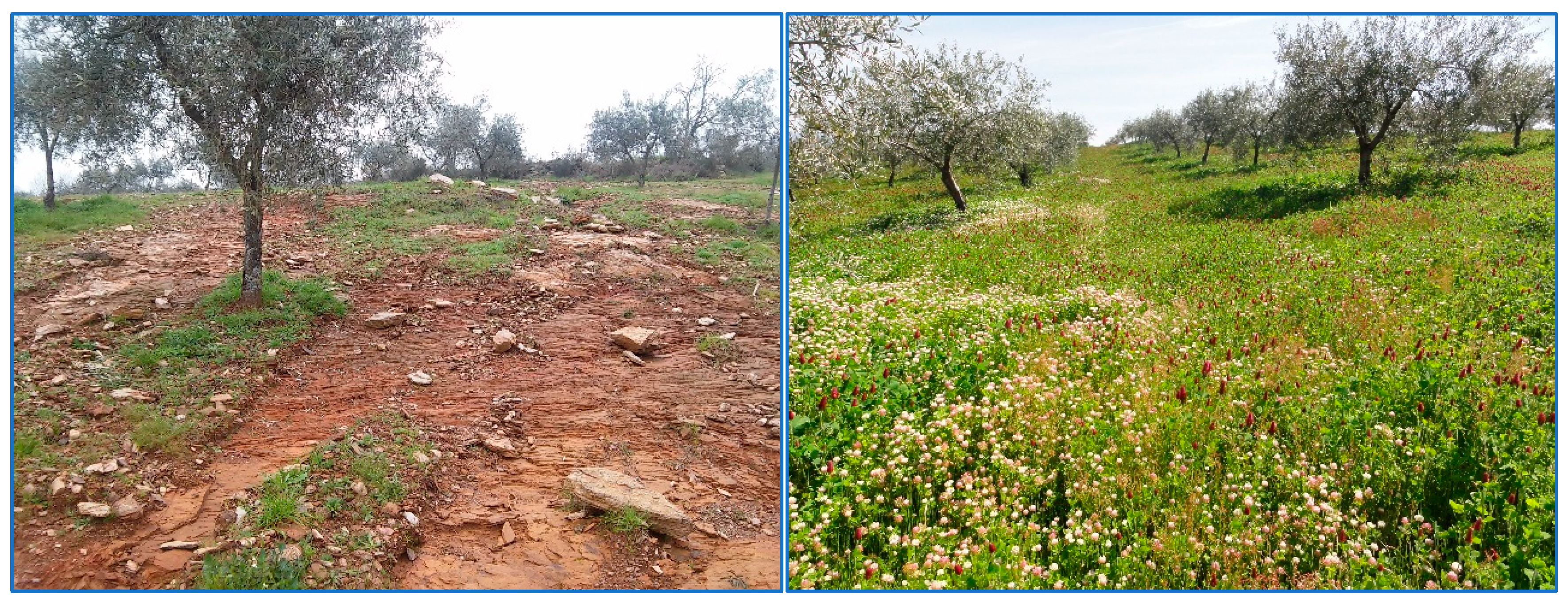 Sustainability 17 07235 g001 Sustainability 17 07235 g001