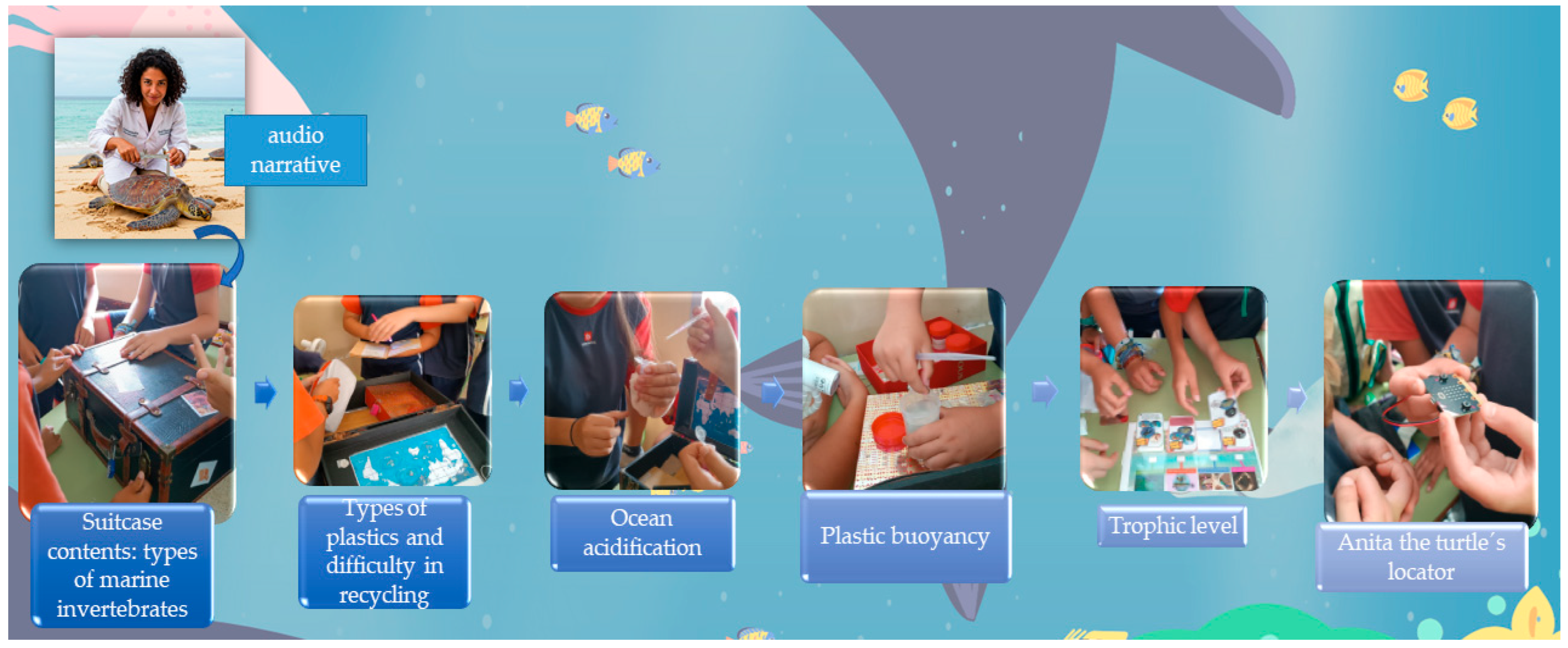 Sustainability 17 07528 g005 Sustainability 17 07528 g005