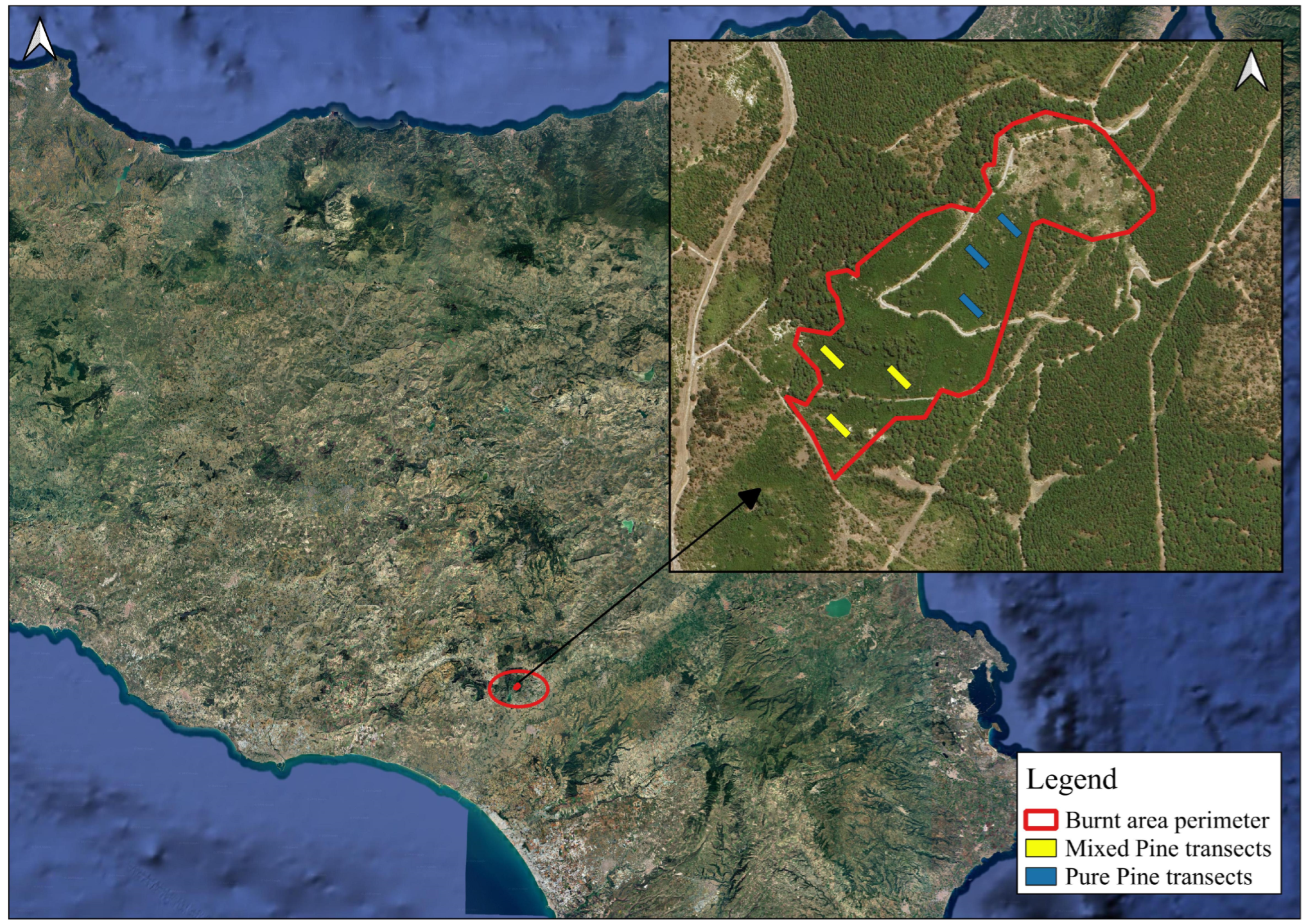 Sustainability 17 08309 g001 Sustainability 17 08309 g001