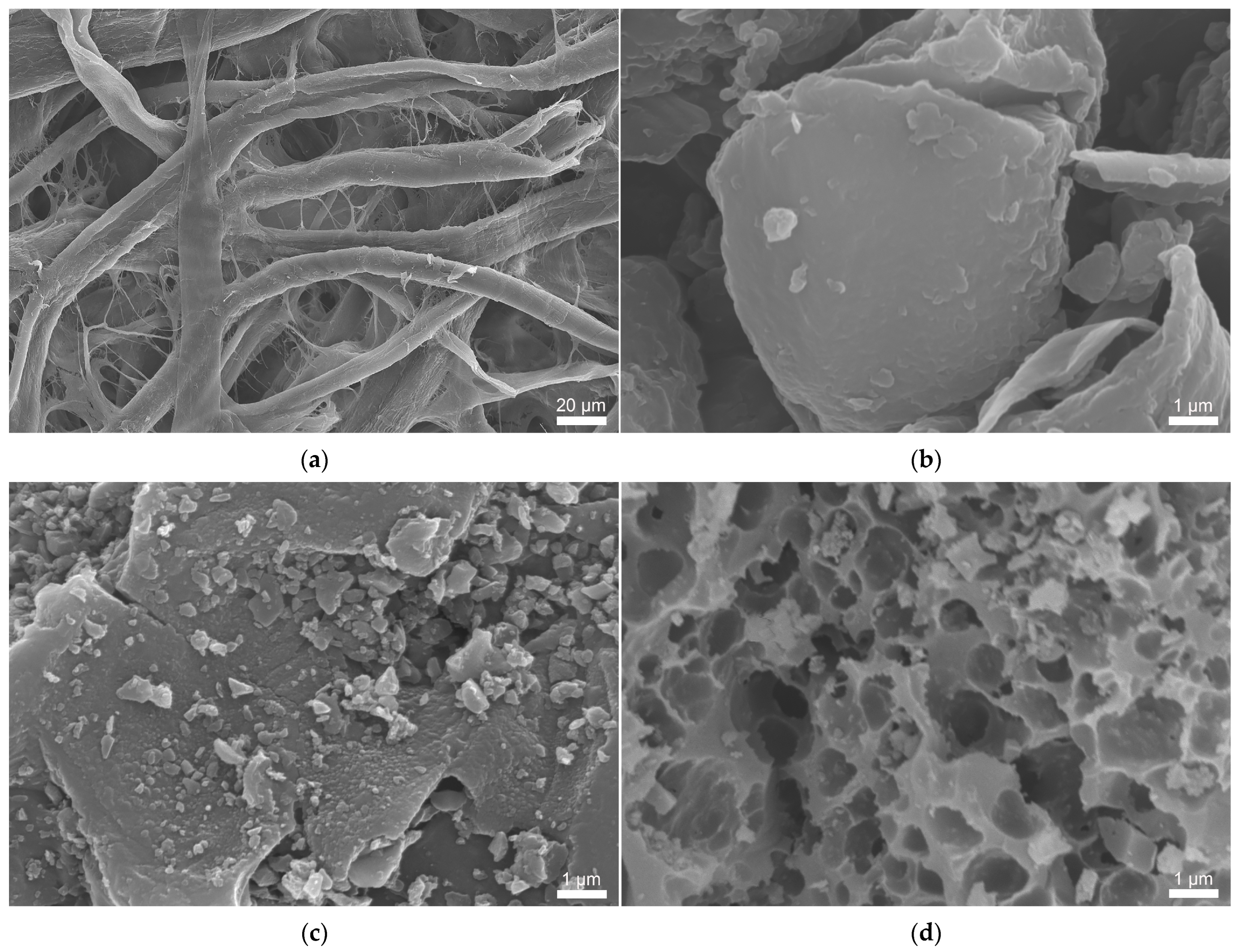 Sustainability 17 08513 g005 Sustainability 17 08513 g005