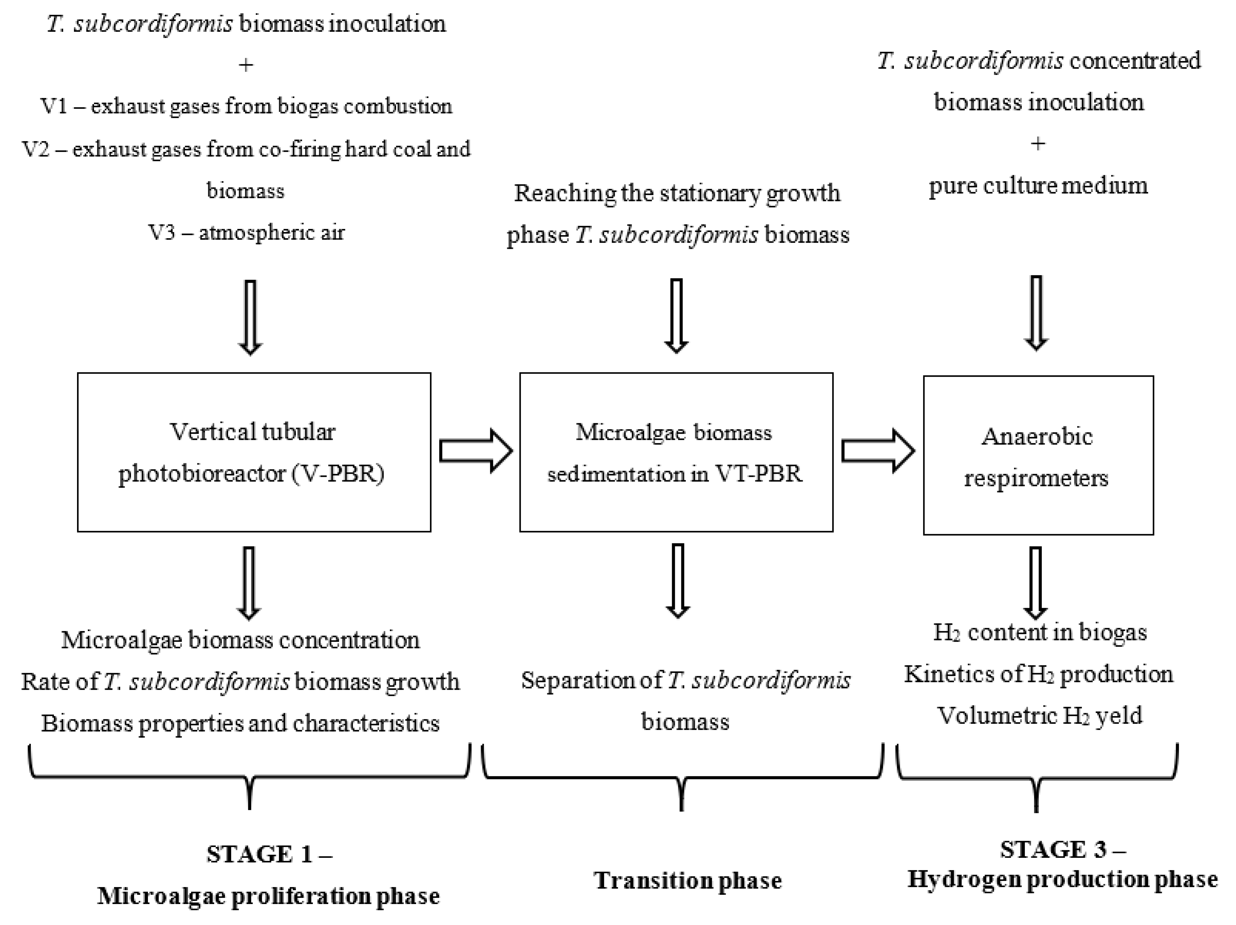 Sustainability 17 08612 g001 Sustainability 17 08612 g001