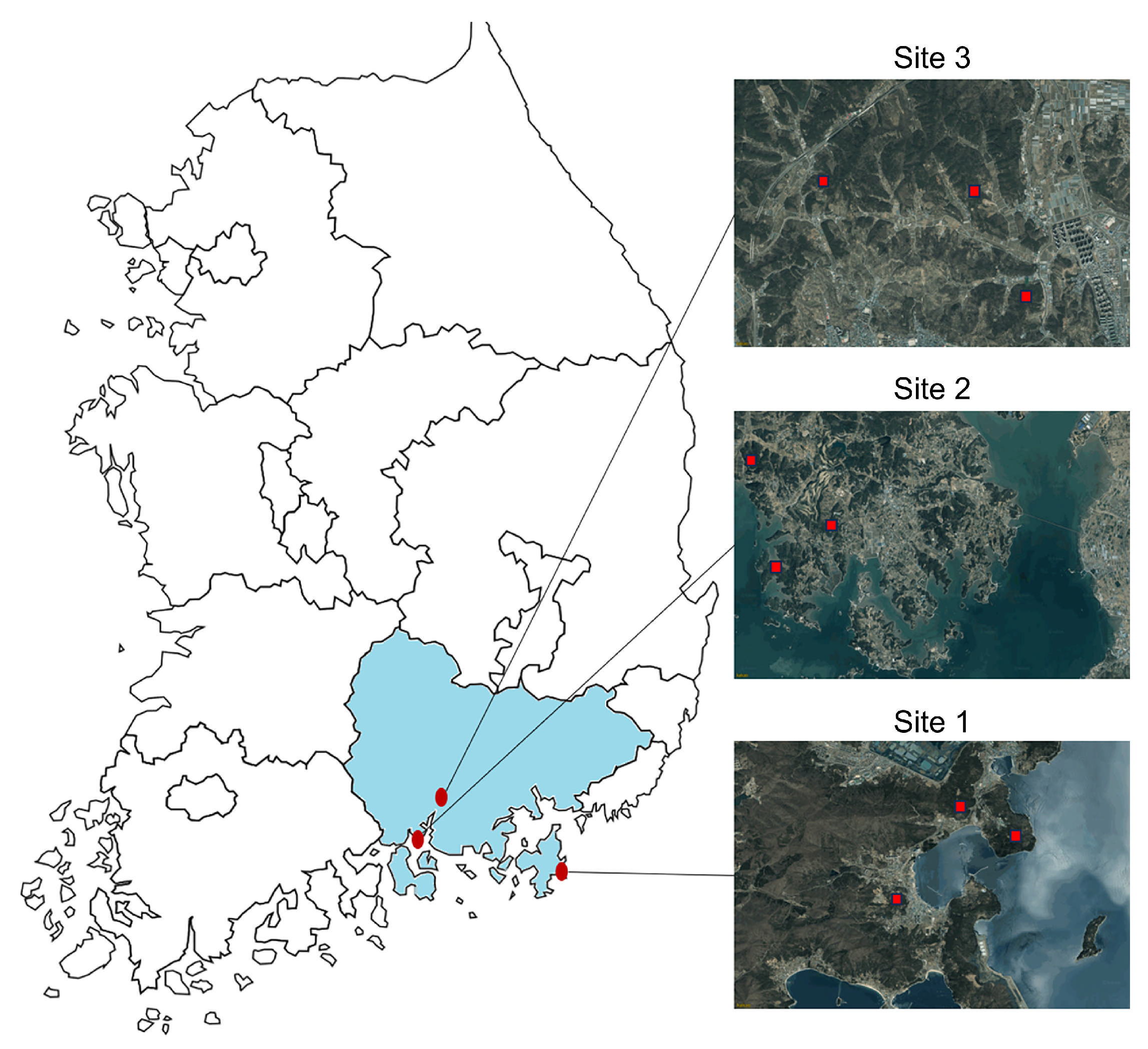 Sustainability 17 08796 g001 Sustainability 17 08796 g001