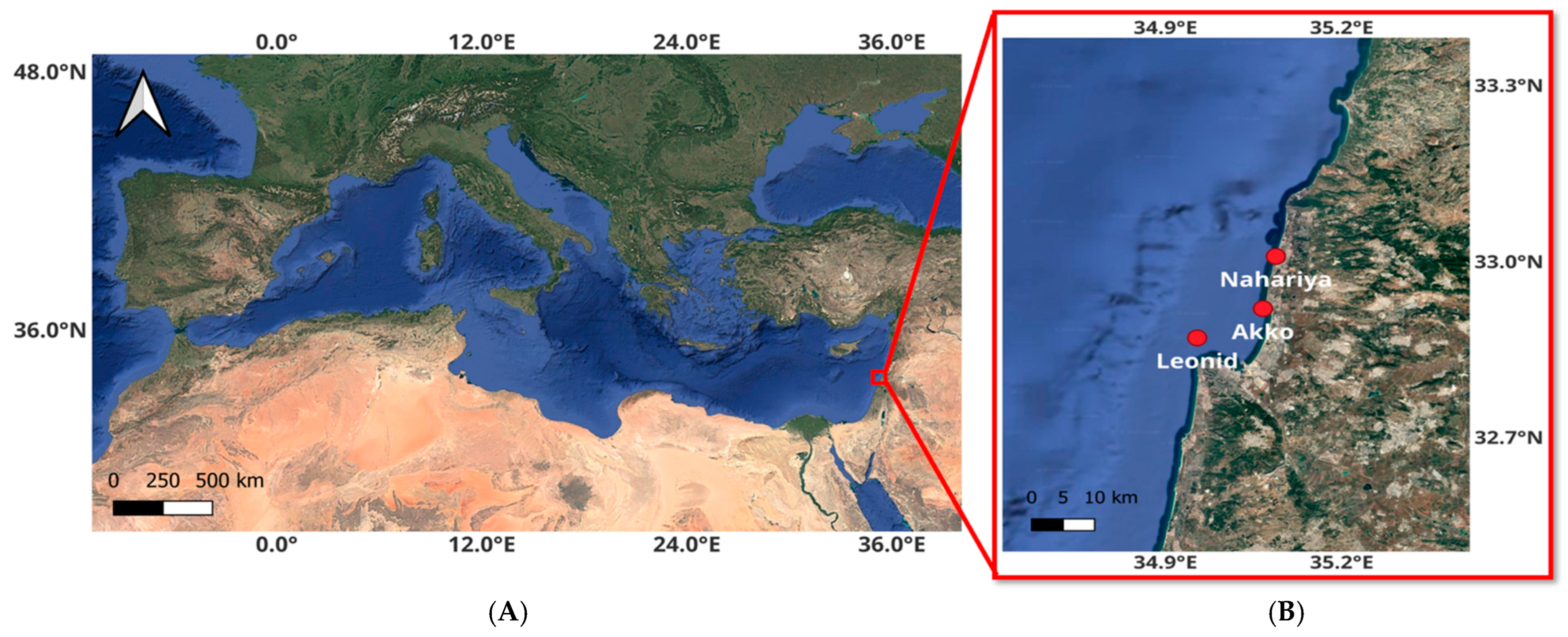 Sustainability 17 08893 g001 Sustainability 17 08893 g001