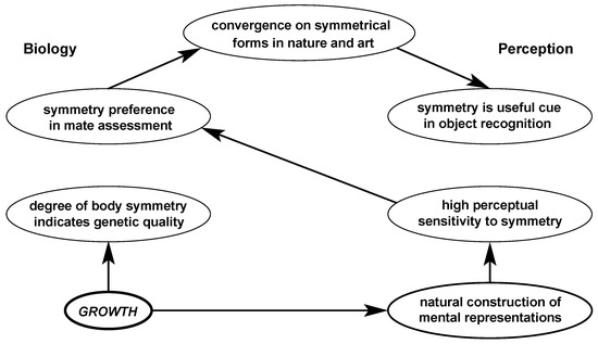 Symmetry | Free Full-Text | The Influence of Perception on the Distribution  of Multiple Symmetries in Nature and Art