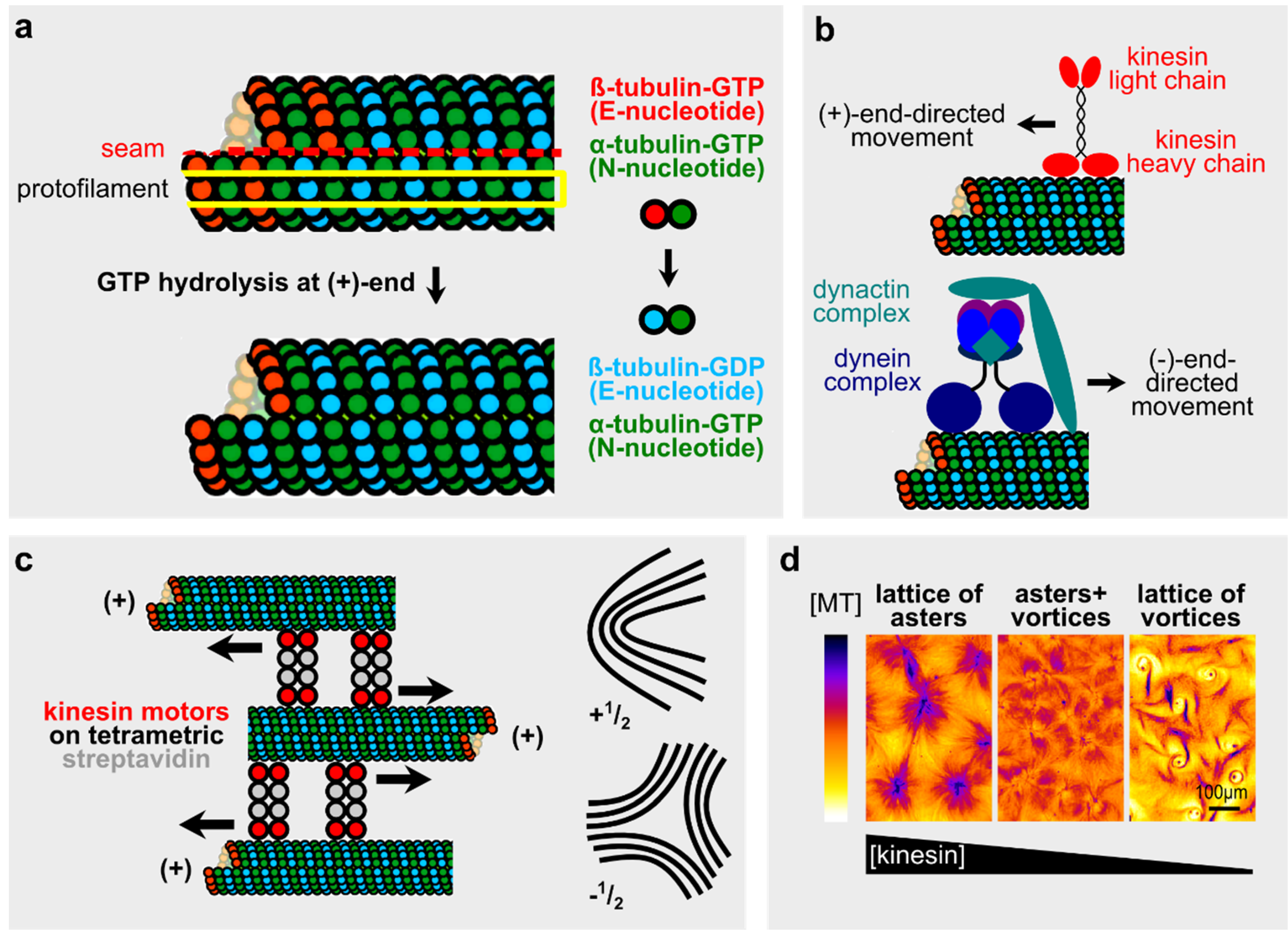 Symmetry 07 02062 g001