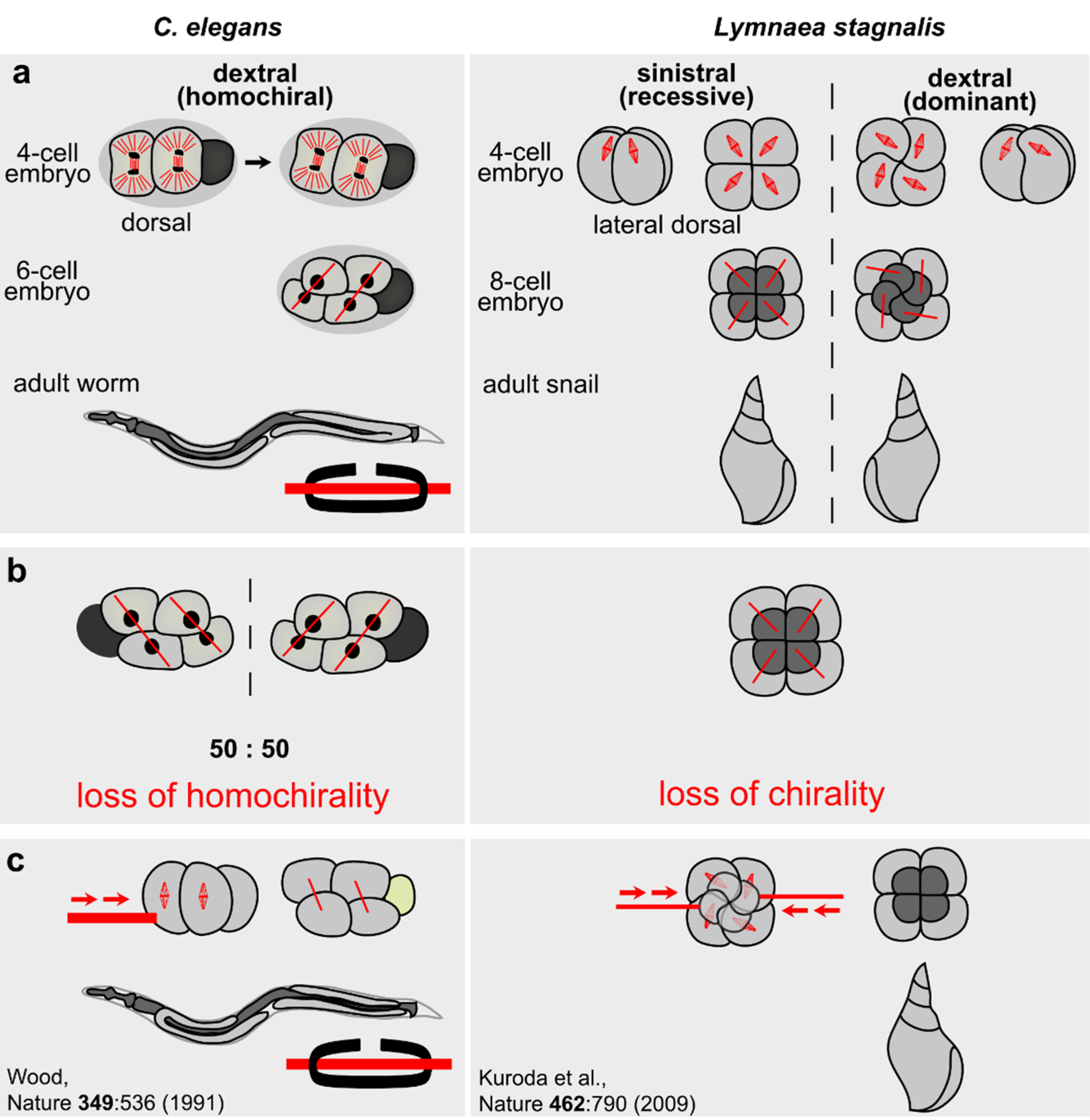 Symmetry 07 02062 g005
