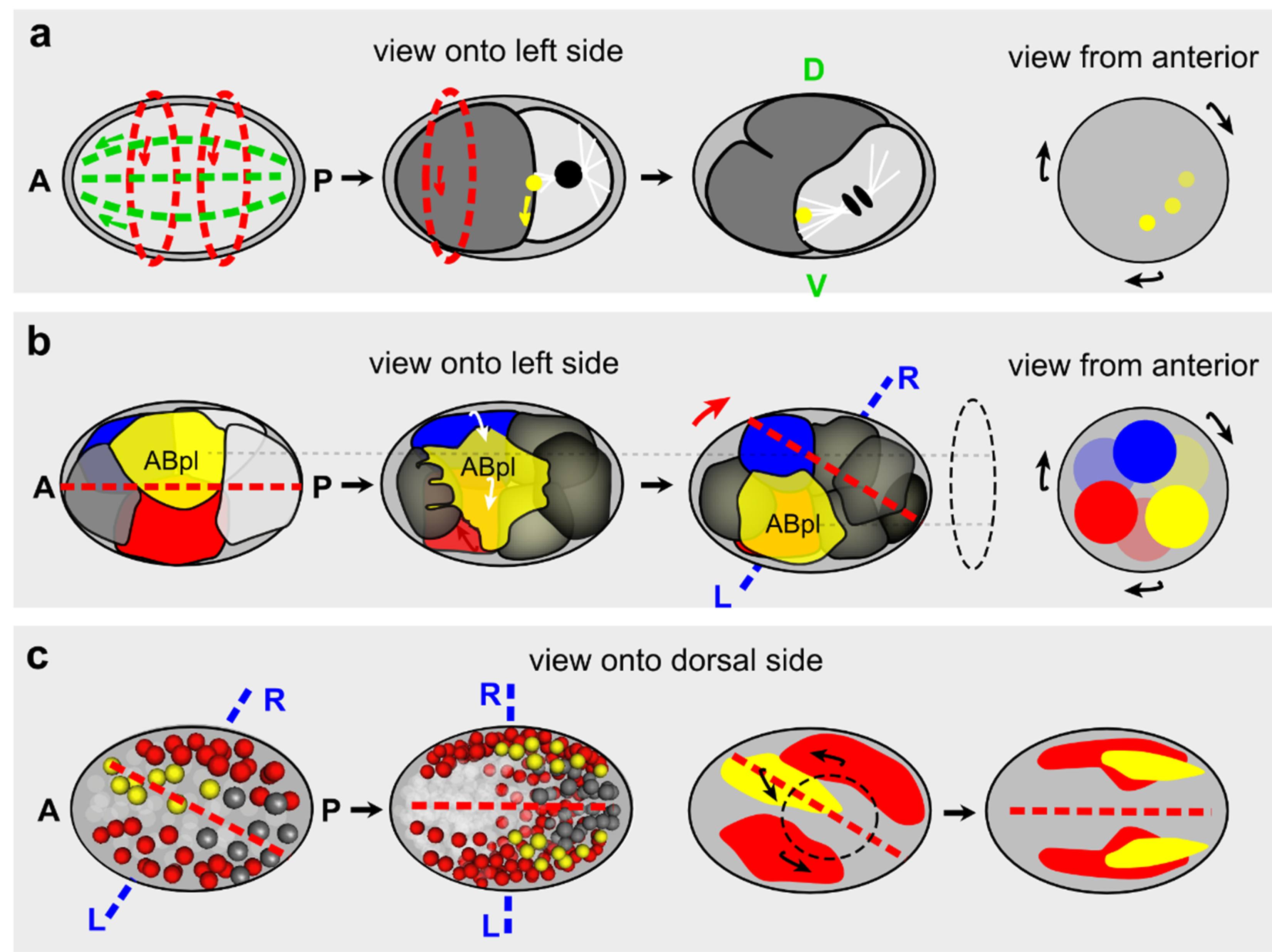 Symmetry 07 02062 g006