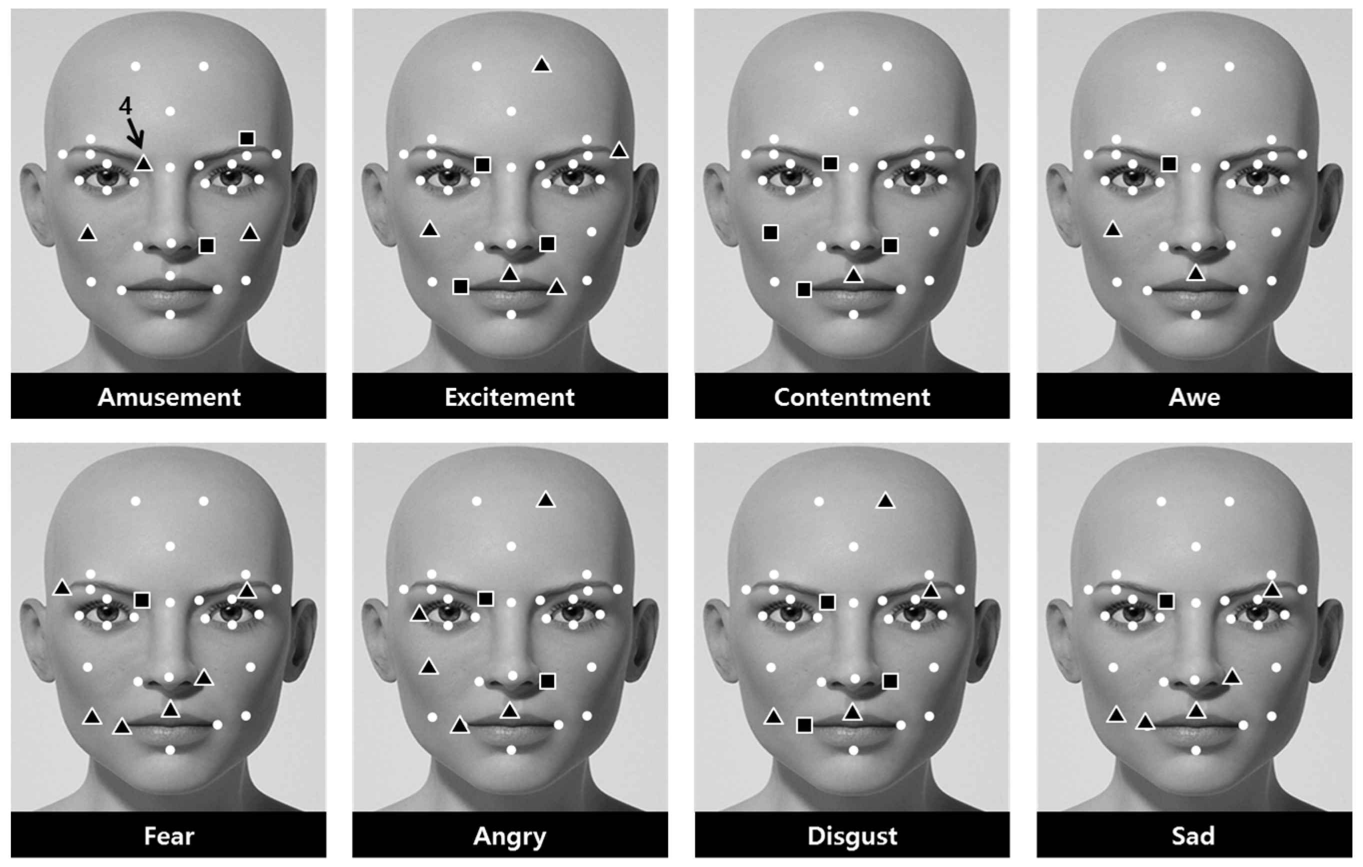 Tex faces