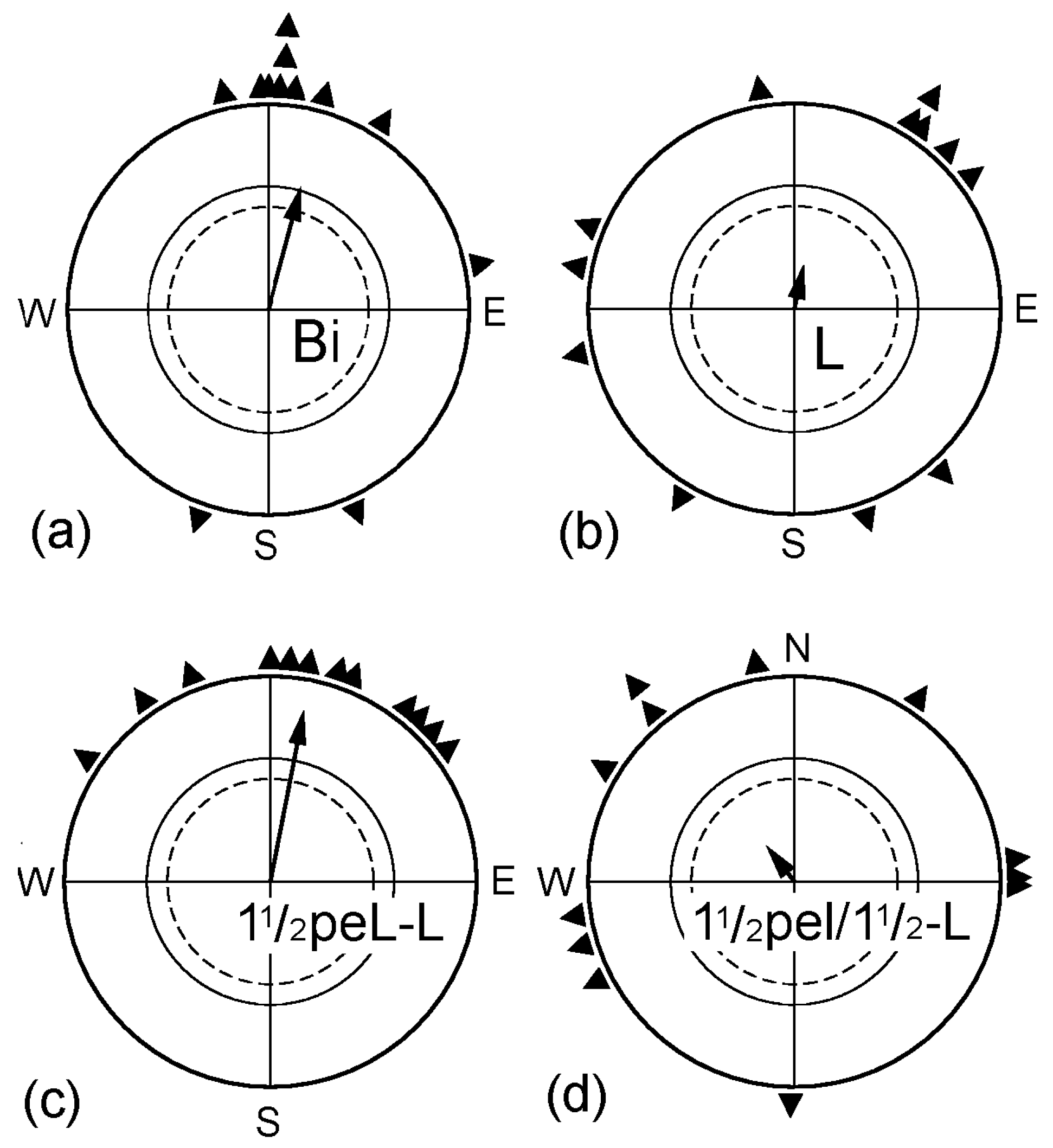 Symmetry | Free Full-Text | Lateralization of the Avian Magnetic Compass:  Analysis of Its Early Plasticity