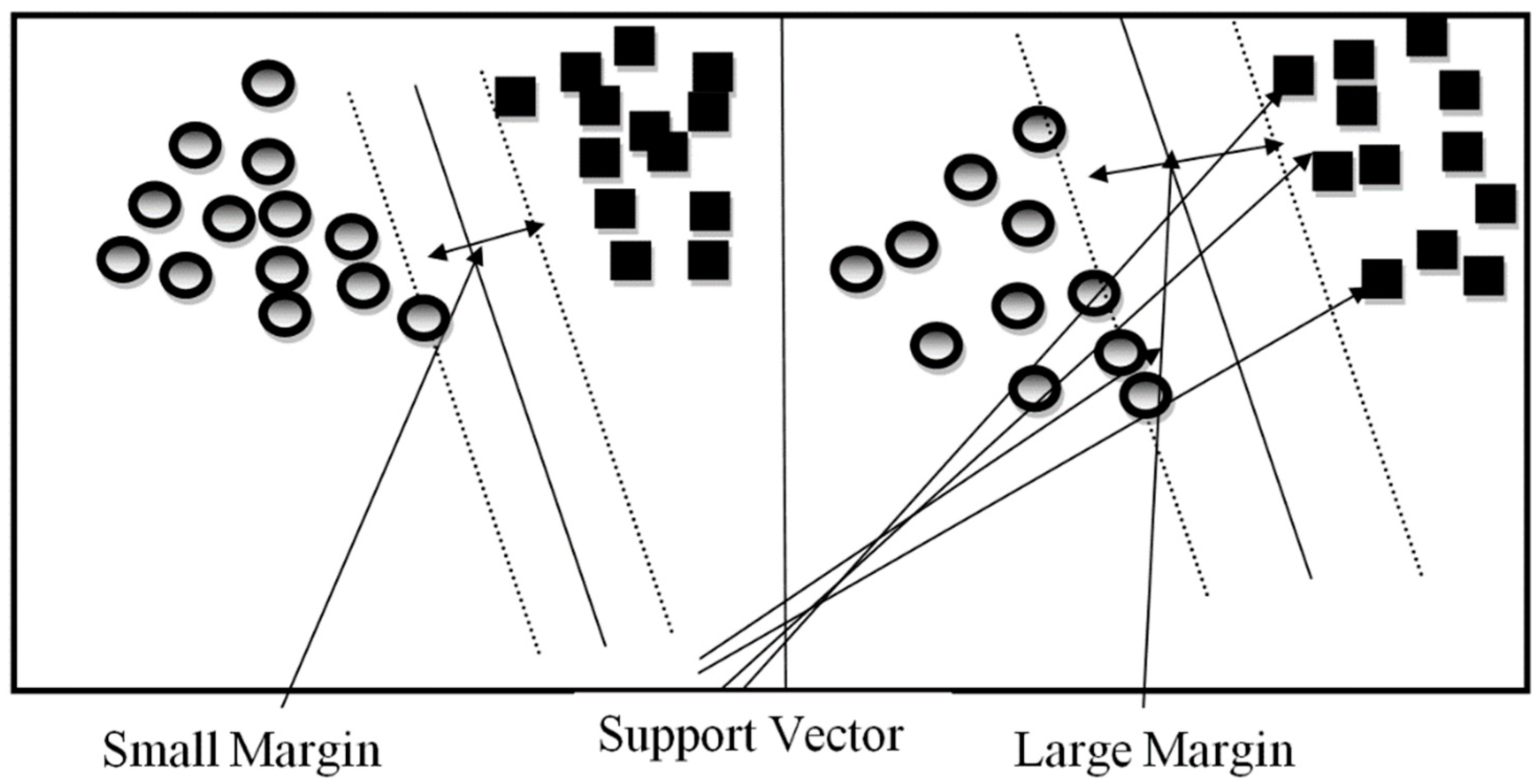 Support vectors