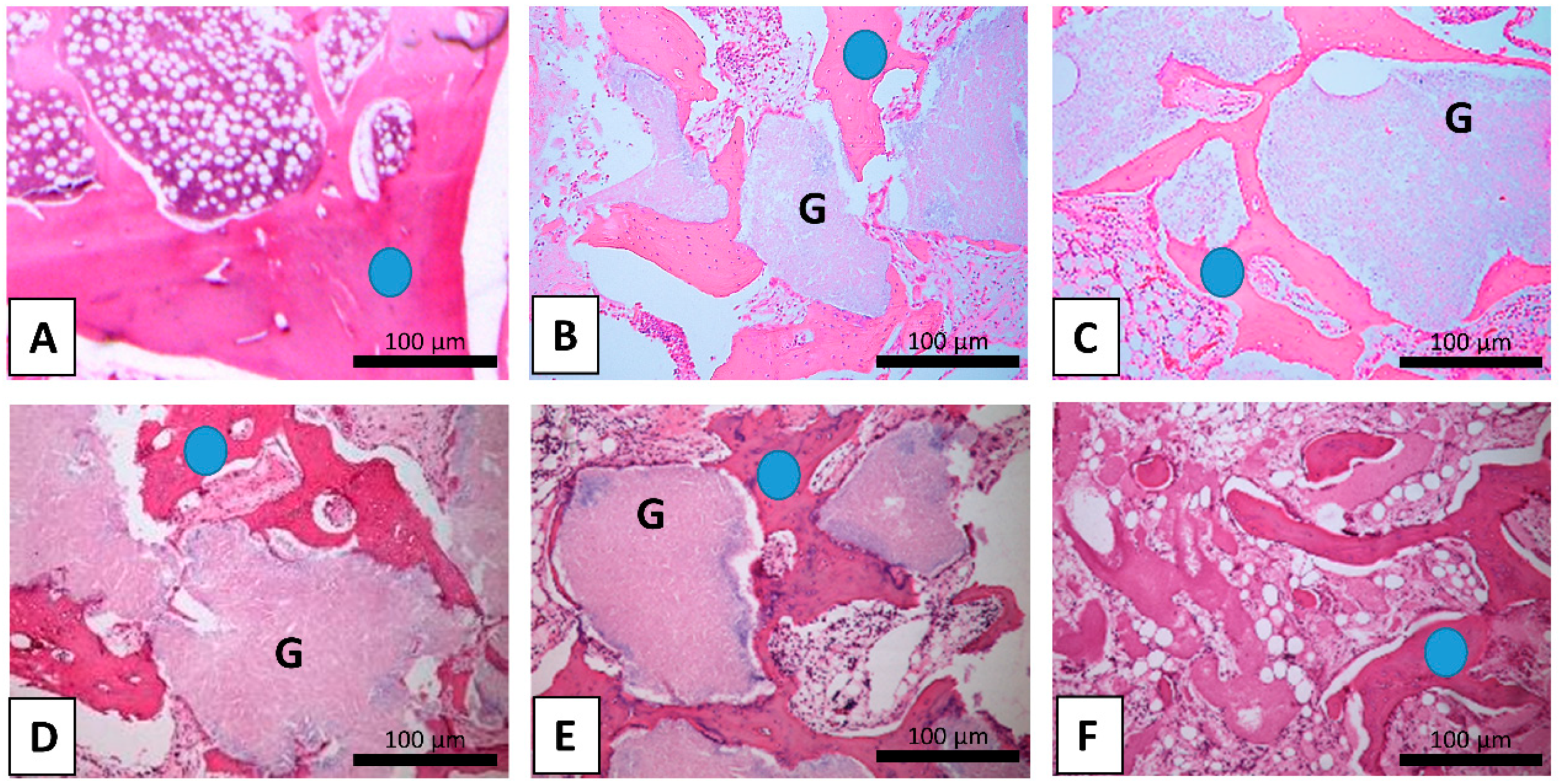 Symmetry 11 00229 g001
