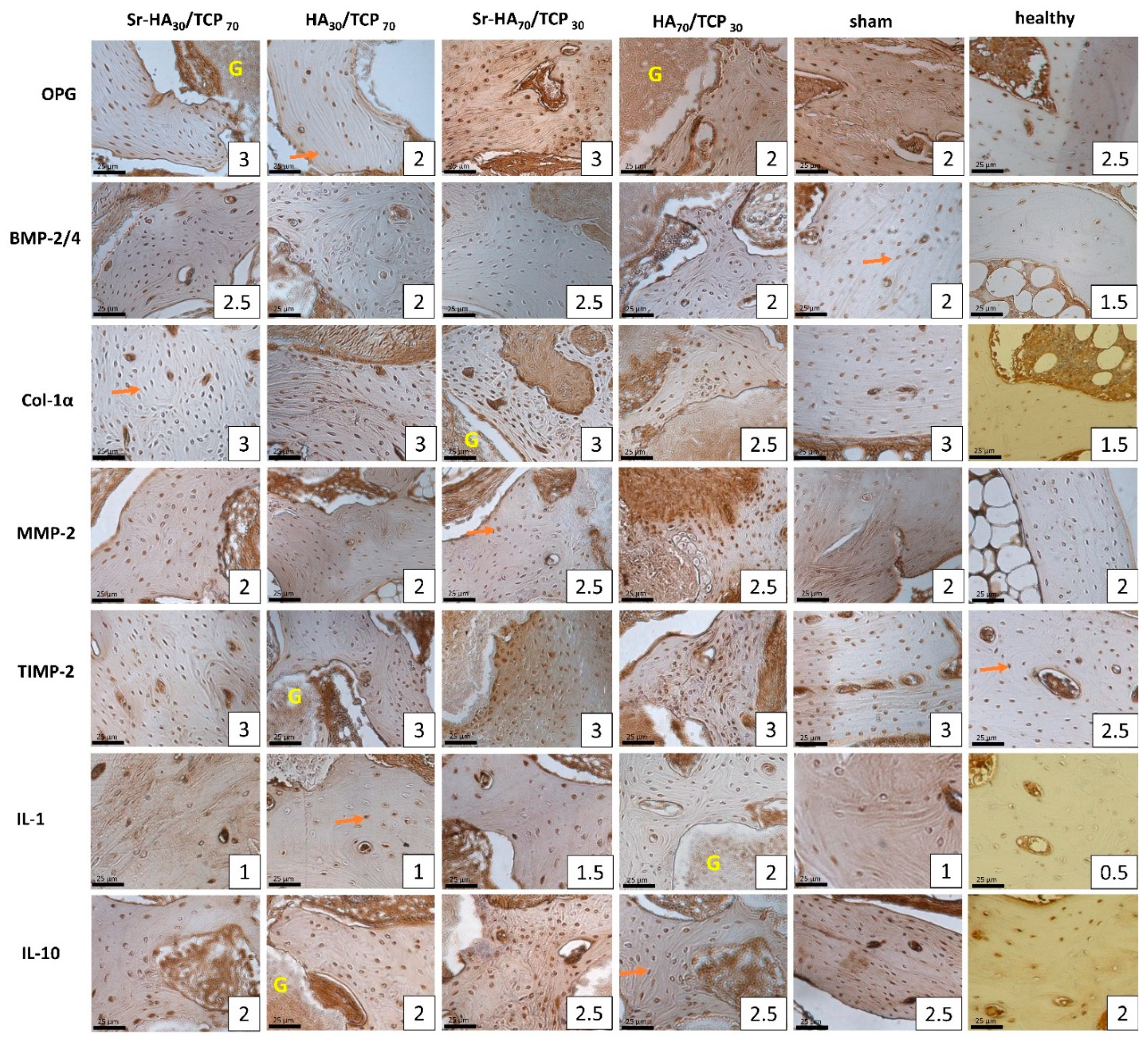 Symmetry 11 00229 g002