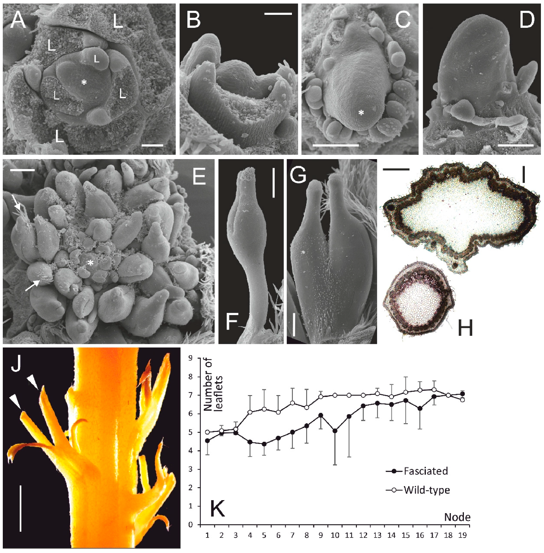 Symmetry 11 00321 g001 Symmetry 11 00321 g001