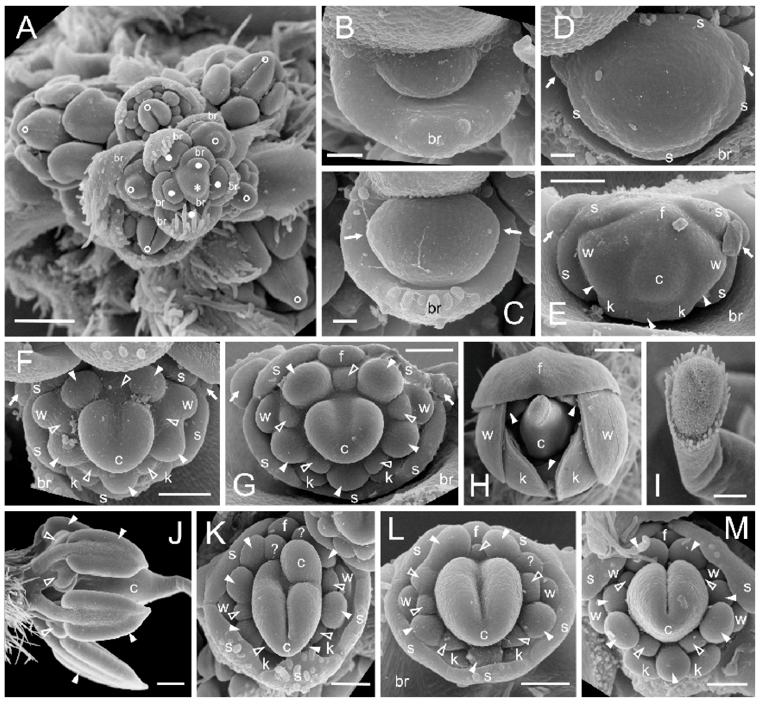 Symmetry 11 00321 g002 Symmetry 11 00321 g002