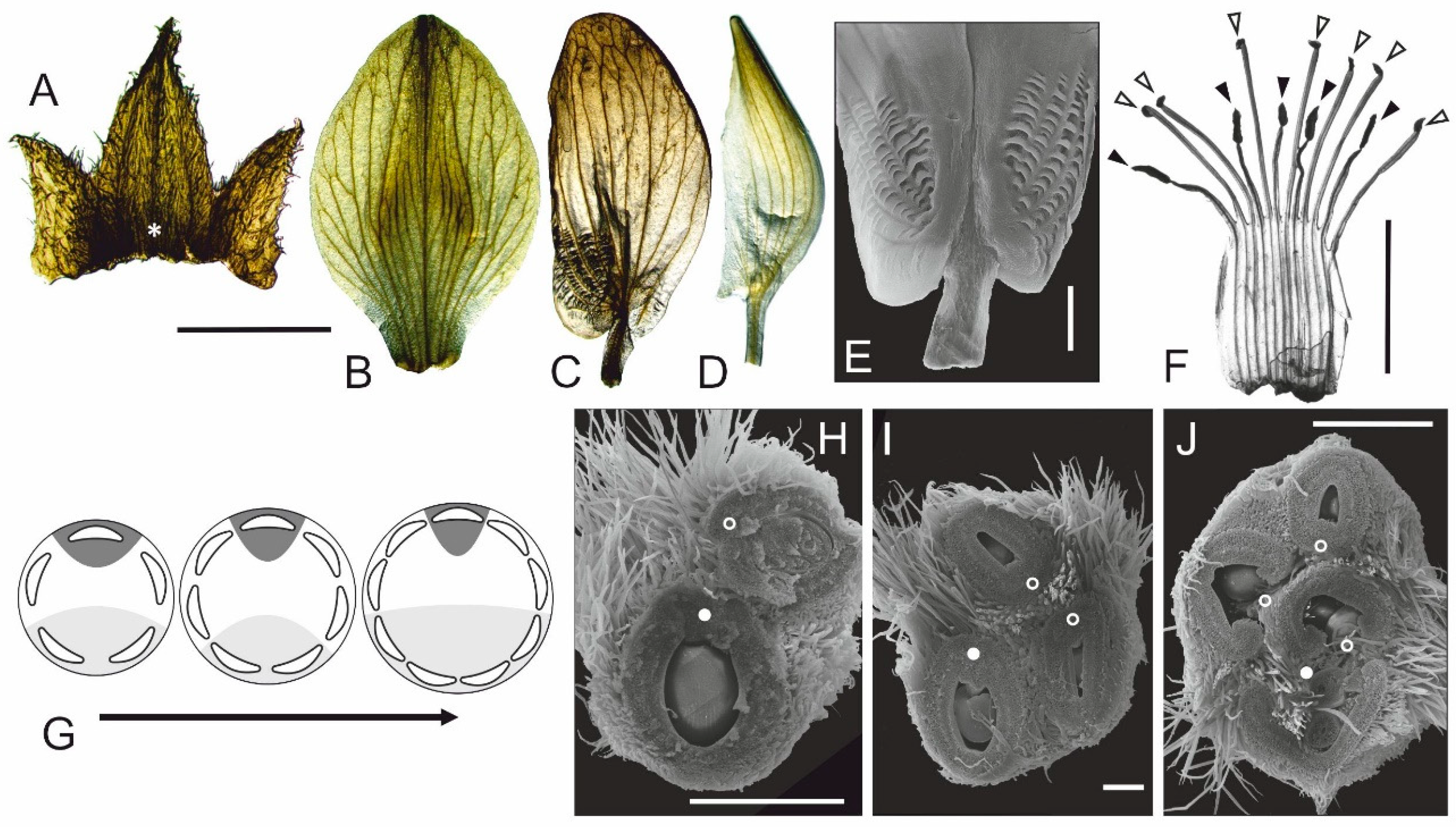 Symmetry 11 00321 g003 Symmetry 11 00321 g003