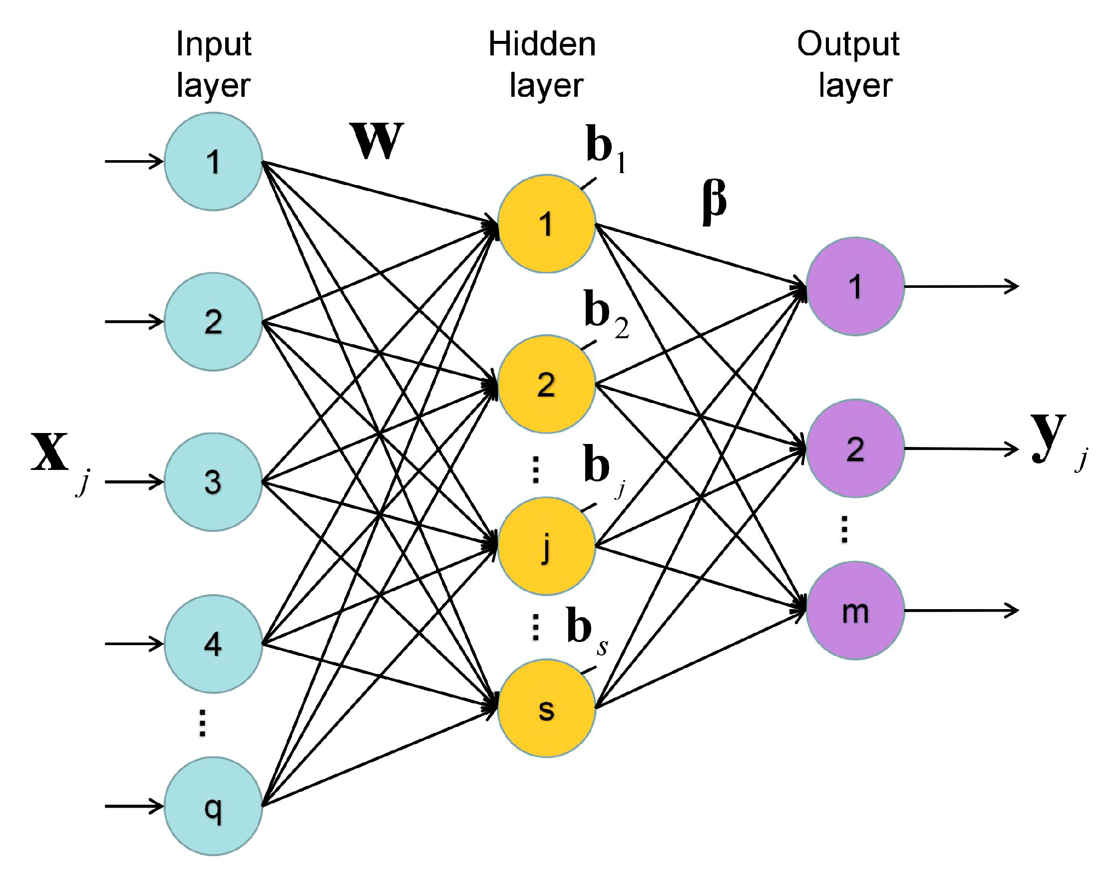 Массив данных для обучения нейросети. Food classification Neural Network. Feedforward layer named entity recognition.