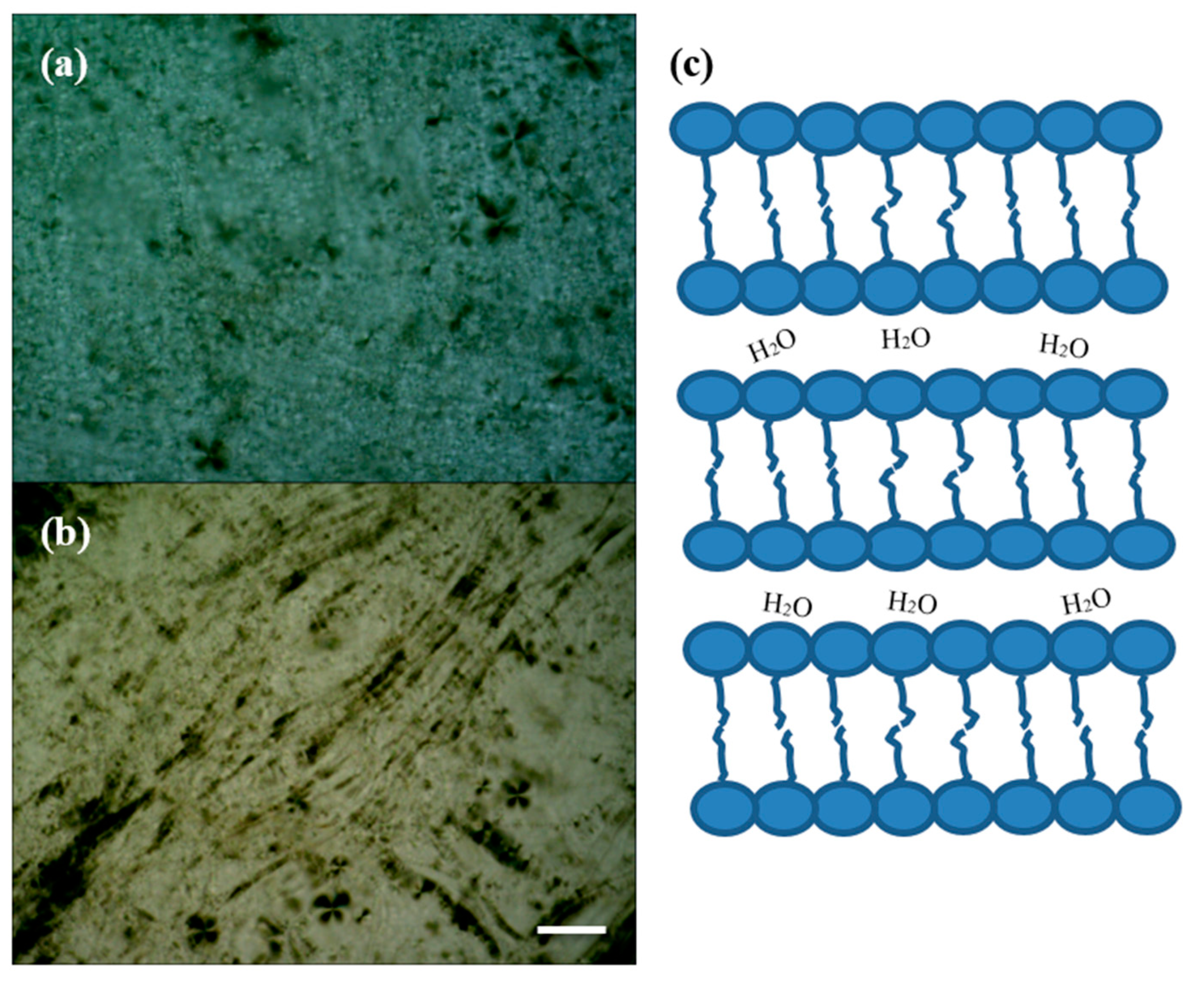 Symmetry 12 00031 g001