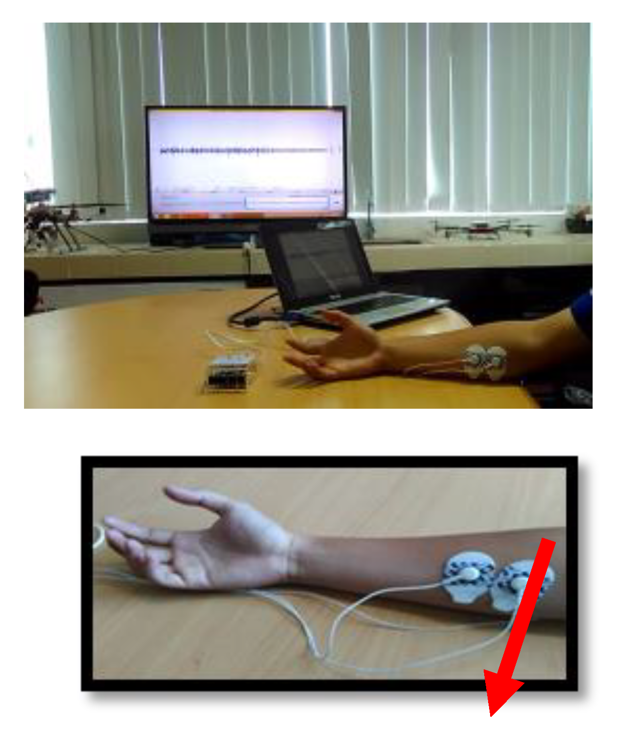 Symmetry 12 00541 g005