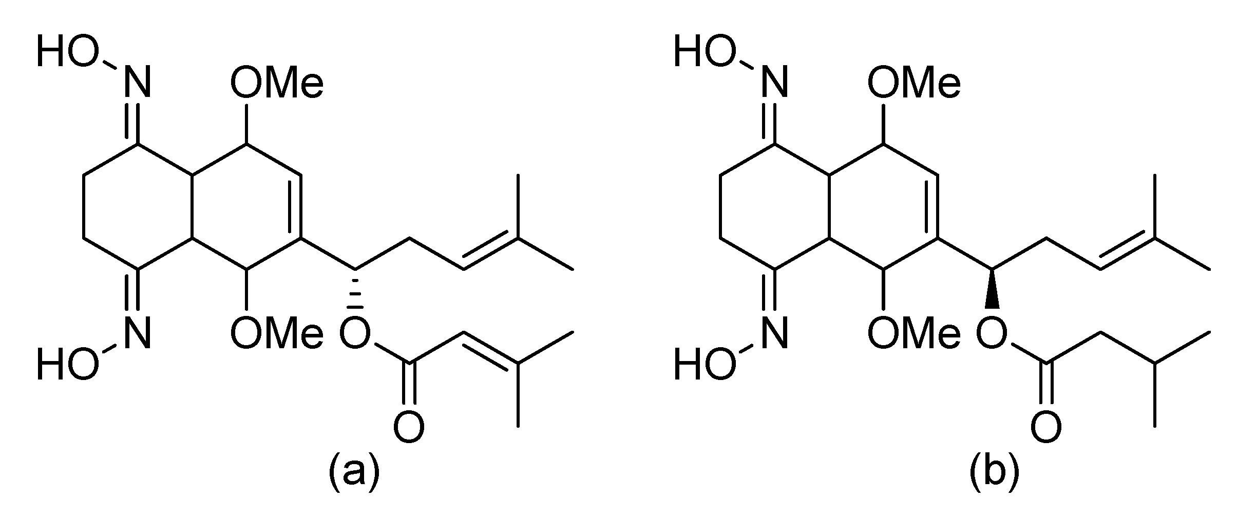 Symmetry 12 00575 g020