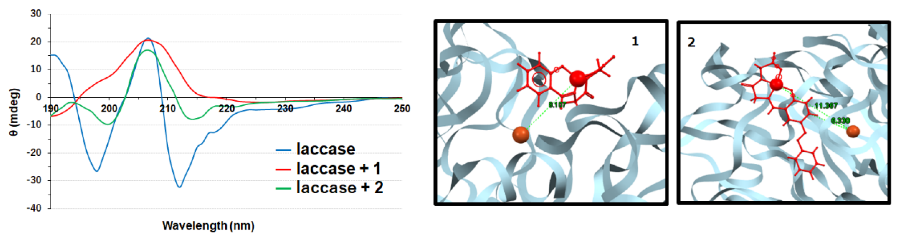 Symmetry 12 00808 g005