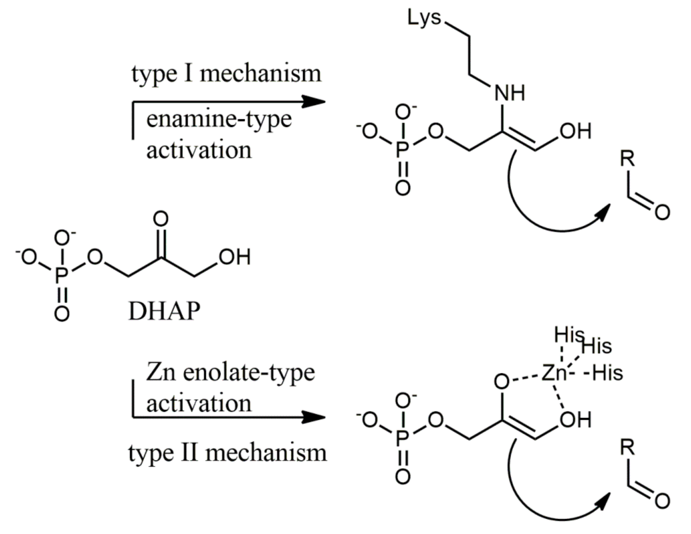 Symmetry 12 00930 g001