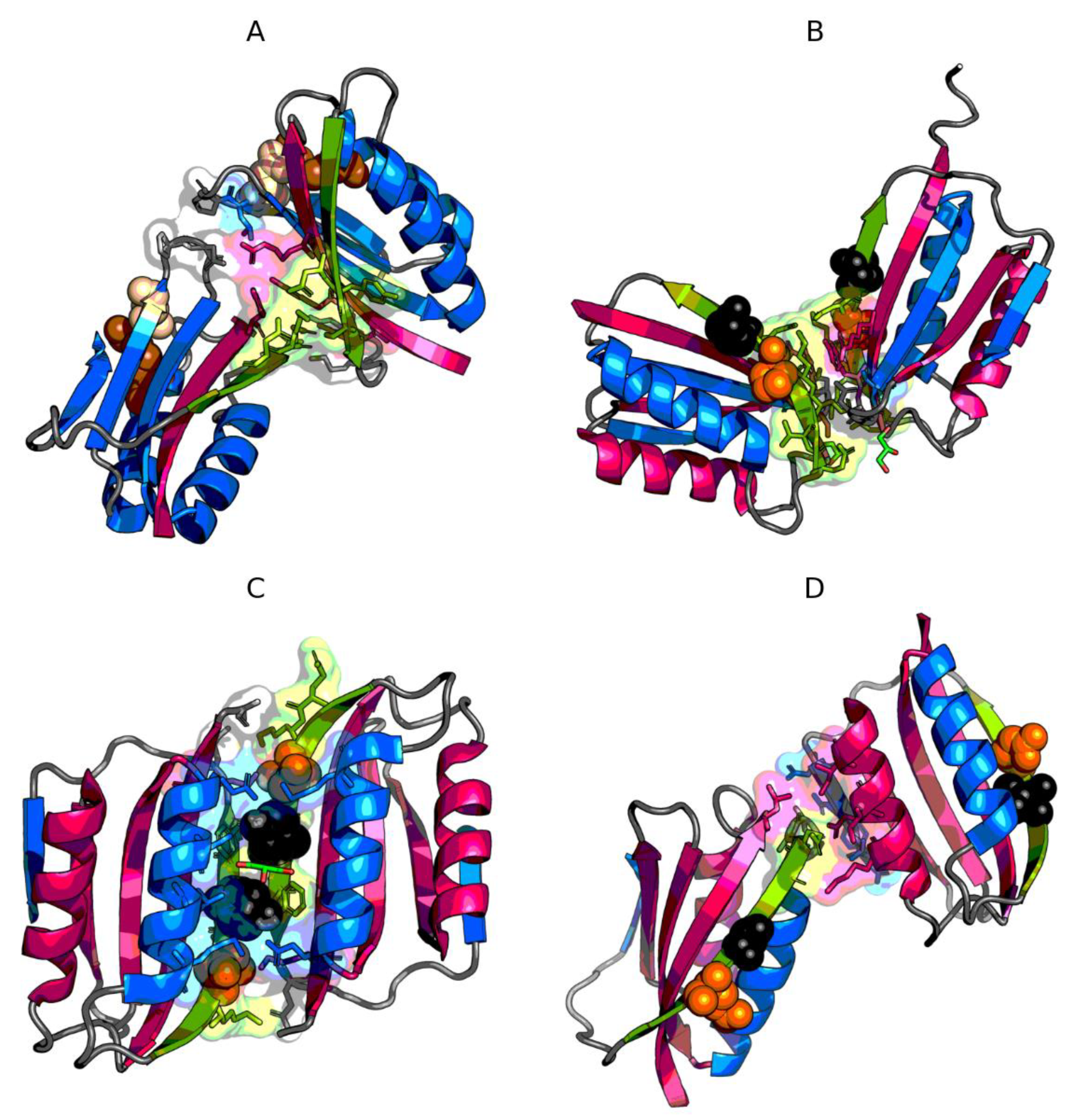 Symmetry 12 01032 g006