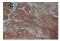 Symmetry 12 01219 i005