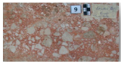 Symmetry 12 01219 i009