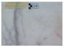 Symmetry 12 01219 i012