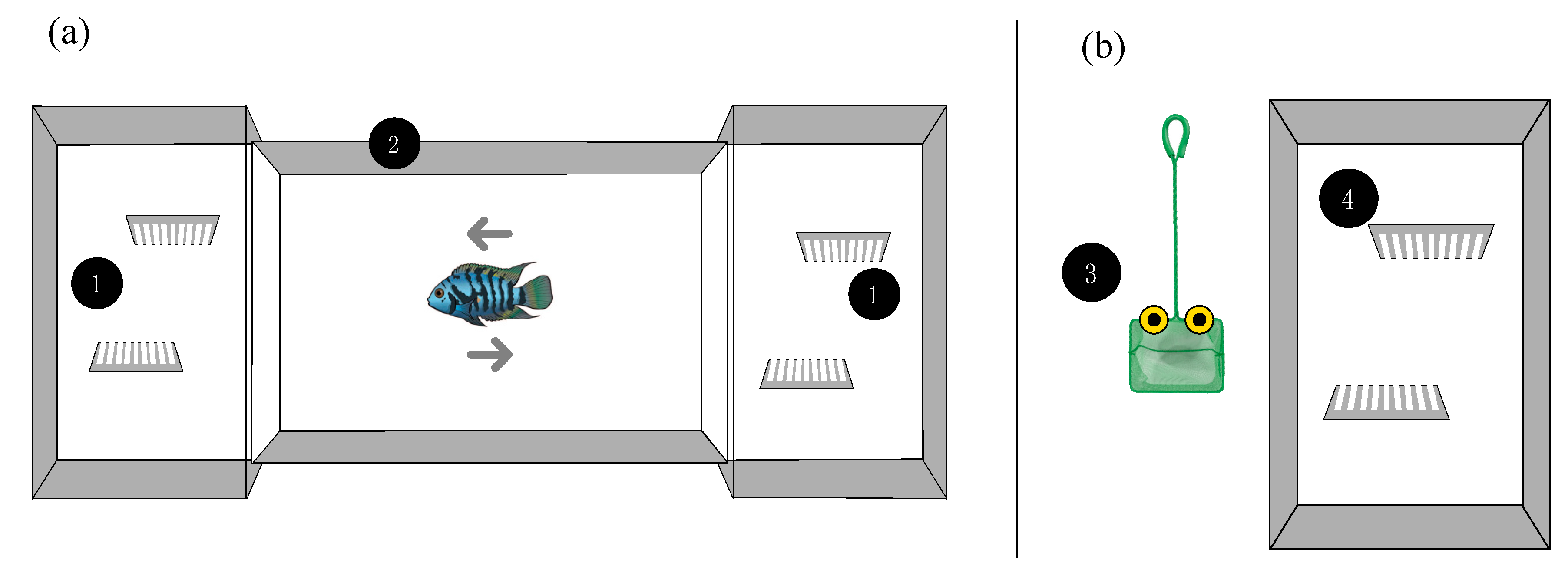 Symmetry 12 01257 g001