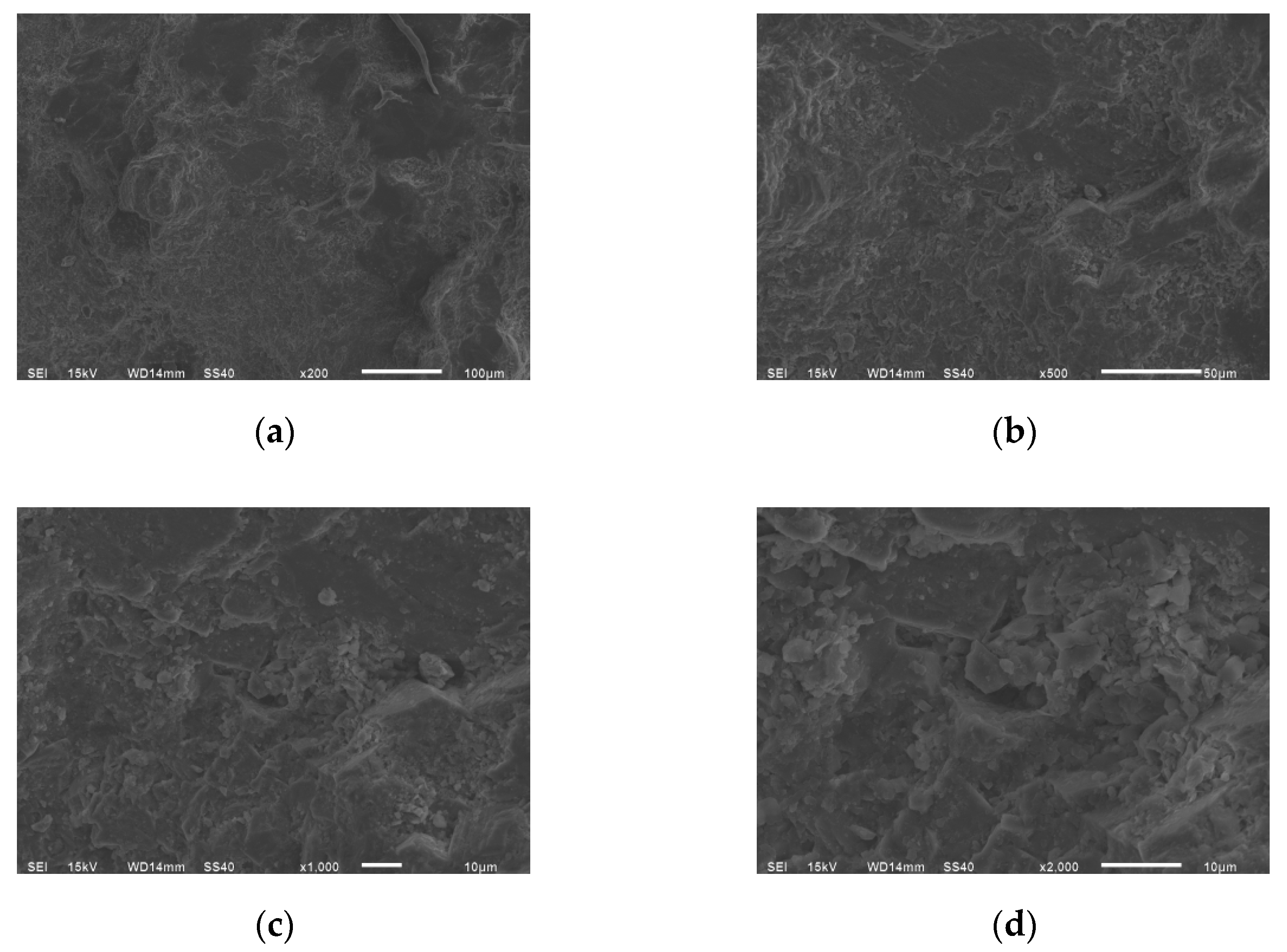 Symmetry 12 01815 g002