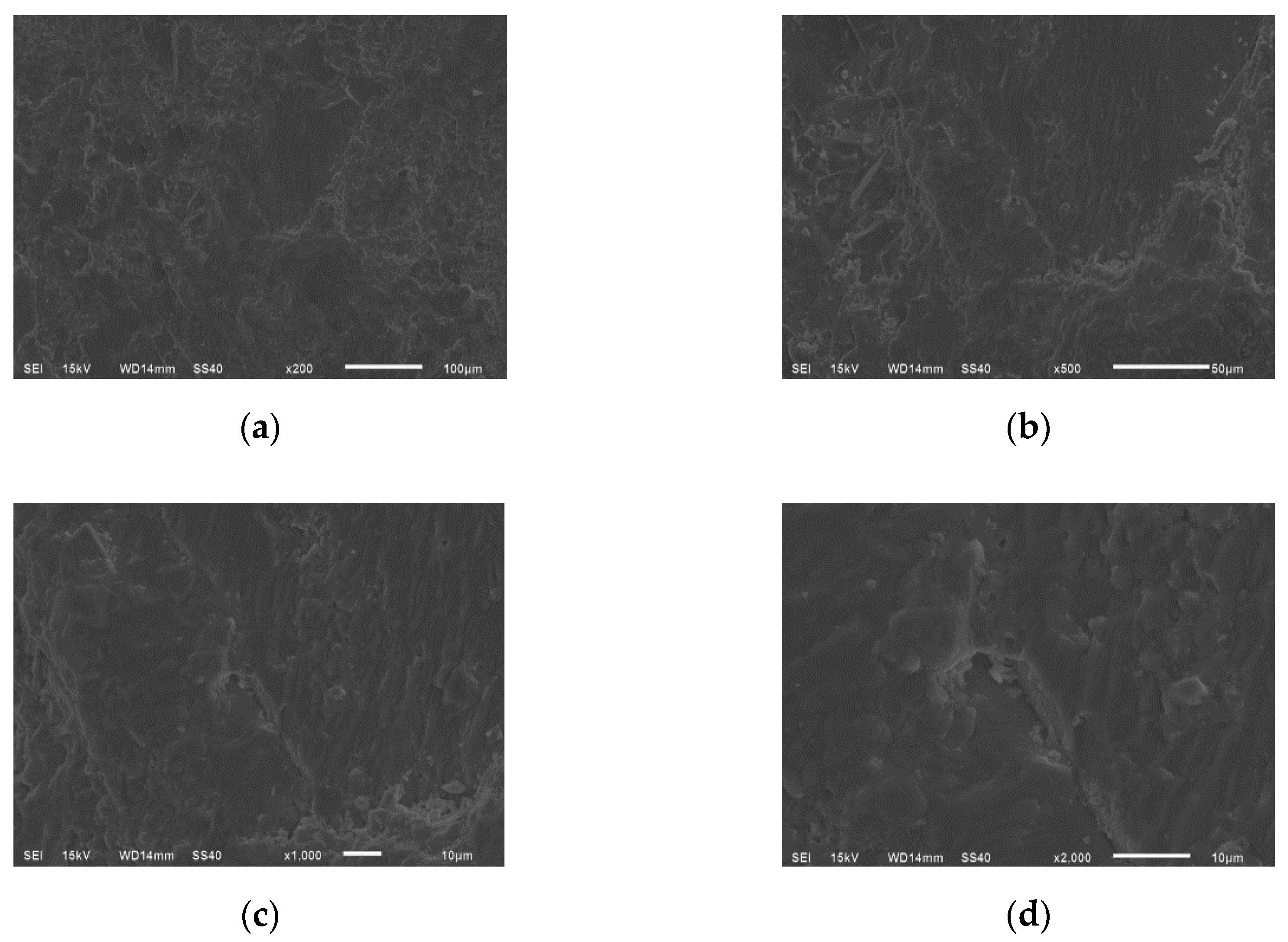 Symmetry 12 01815 g005