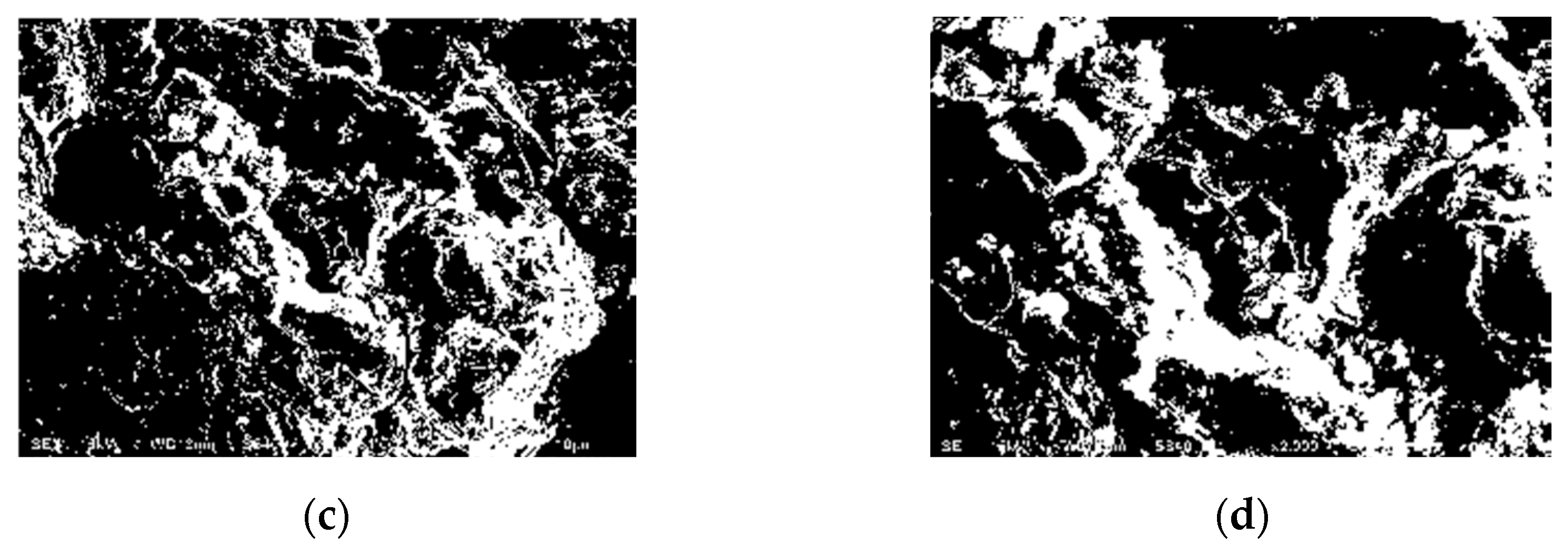 Symmetry 12 01815 g009b