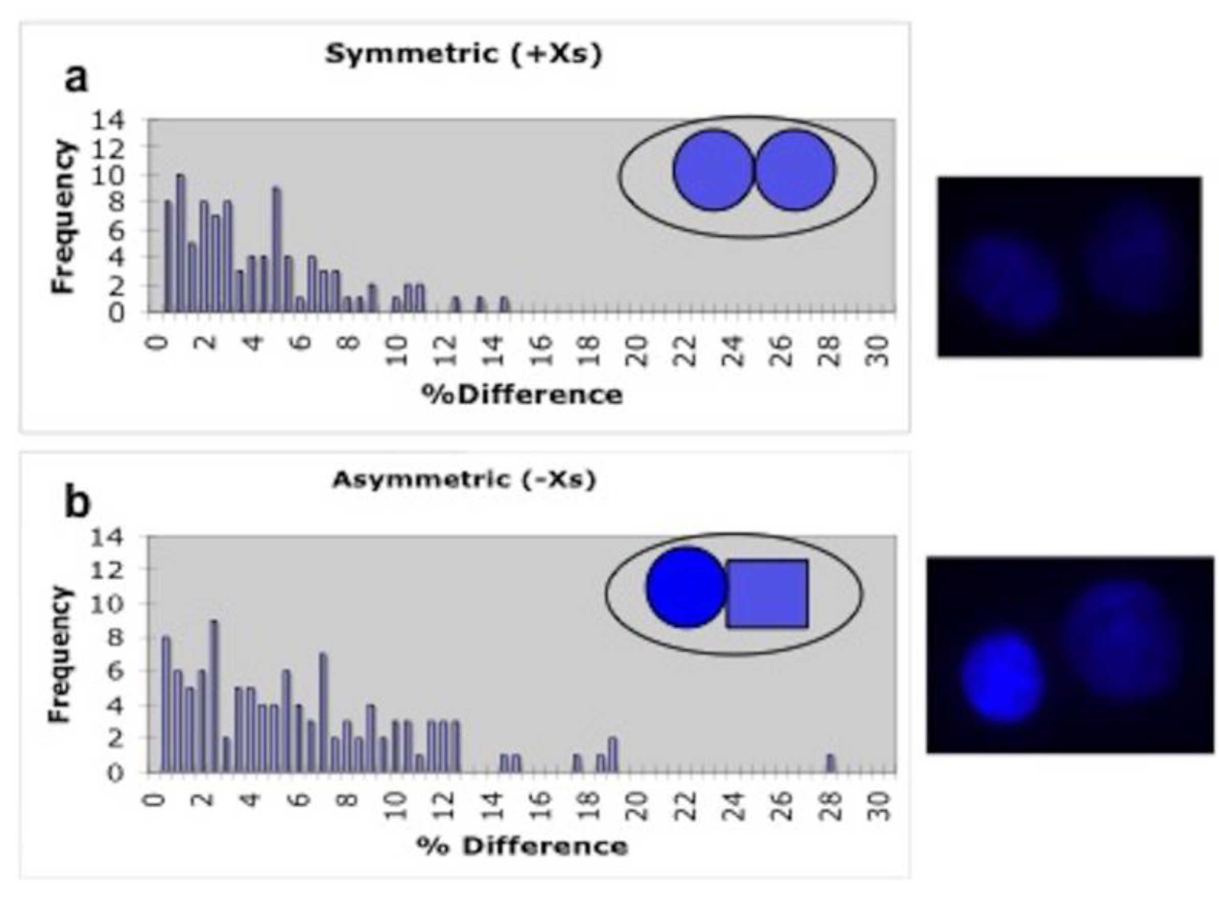 Symmetry 12 01868 g008