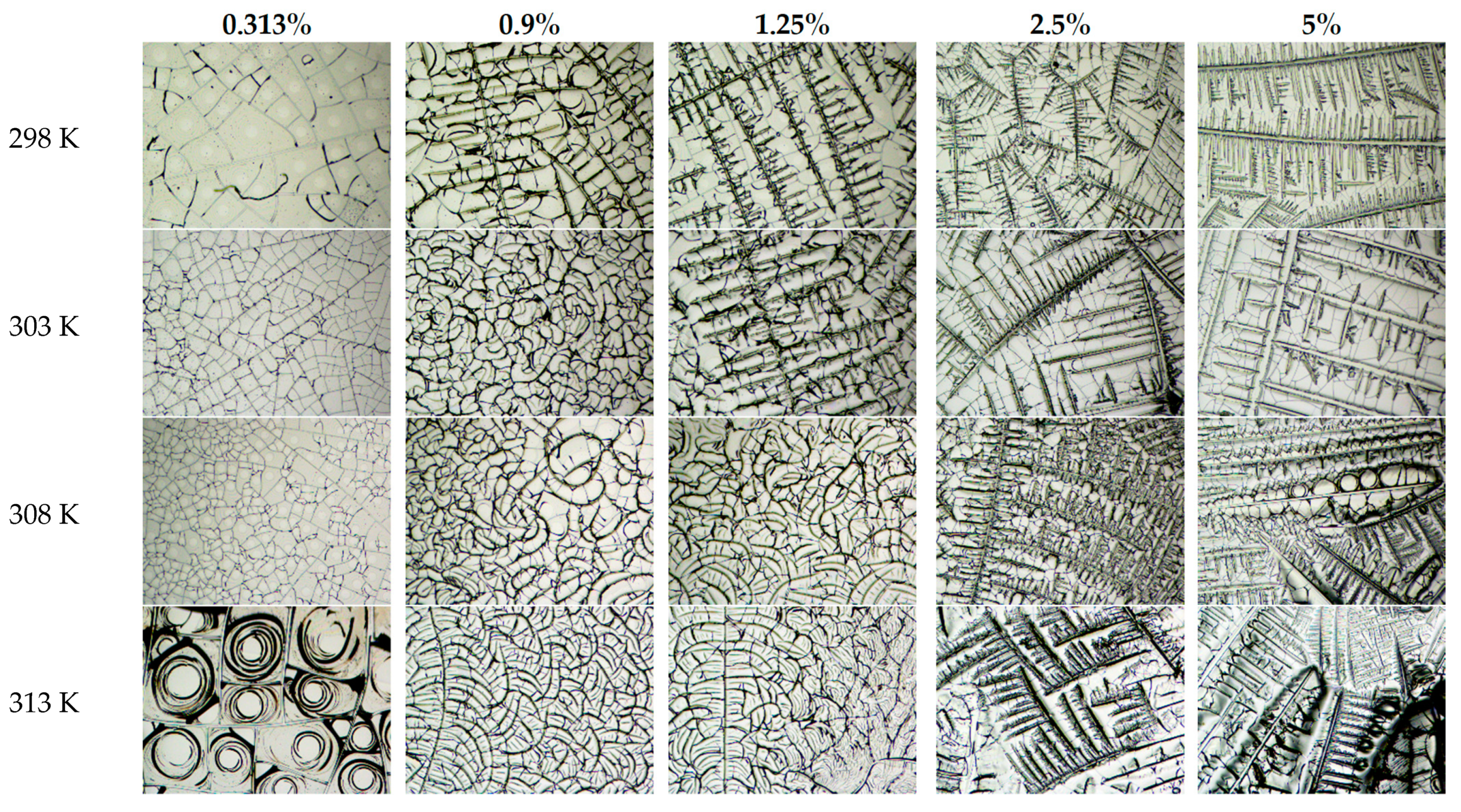 Symmetry 13 00123 g004