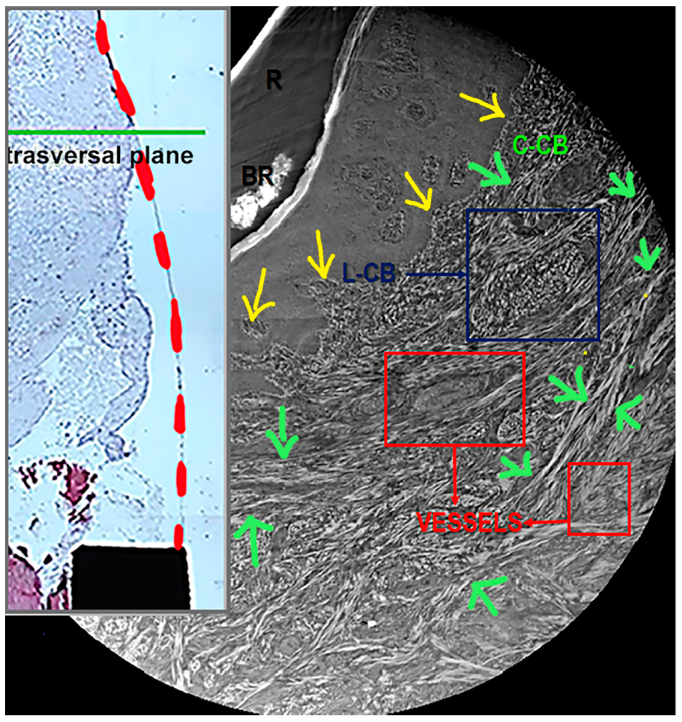 Symmetry 13 01126 g004
