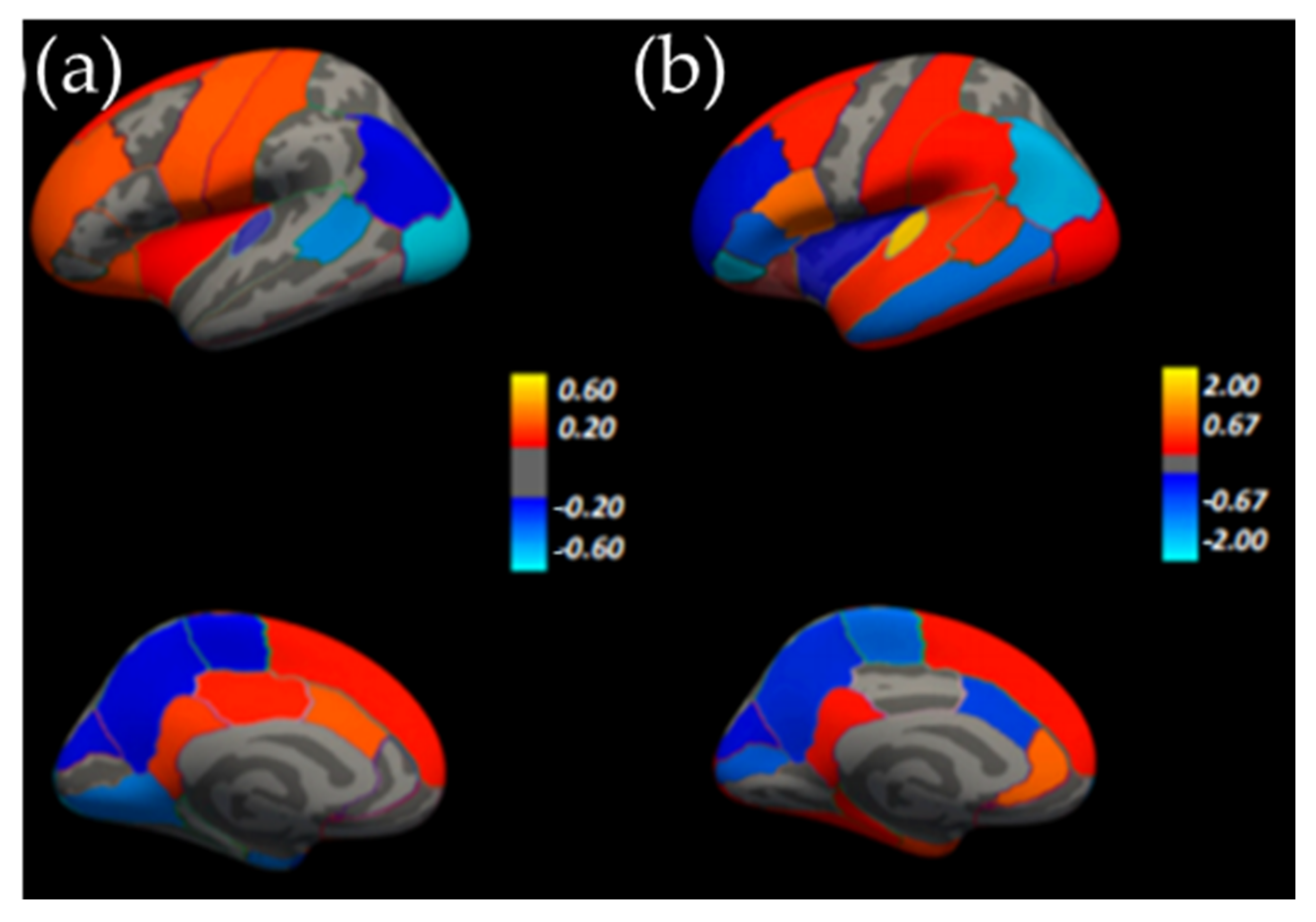 Symmetry Free Full Text Symmetry Of The Human Head—are Symmetrical