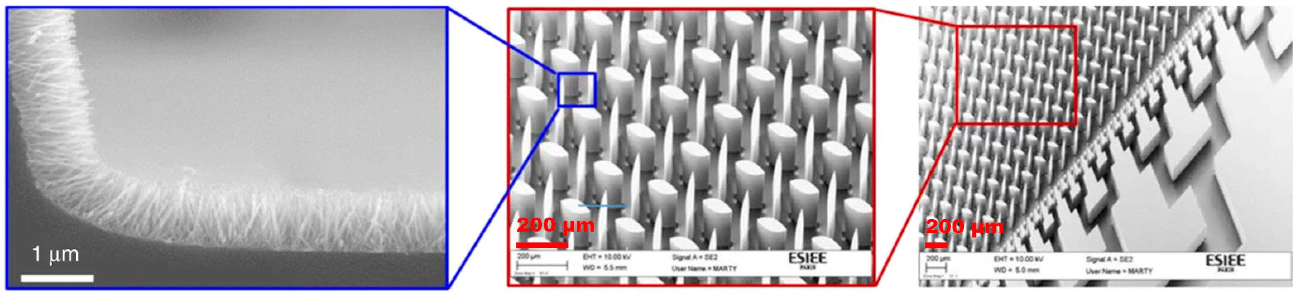 Symmetry 13 01325 g010