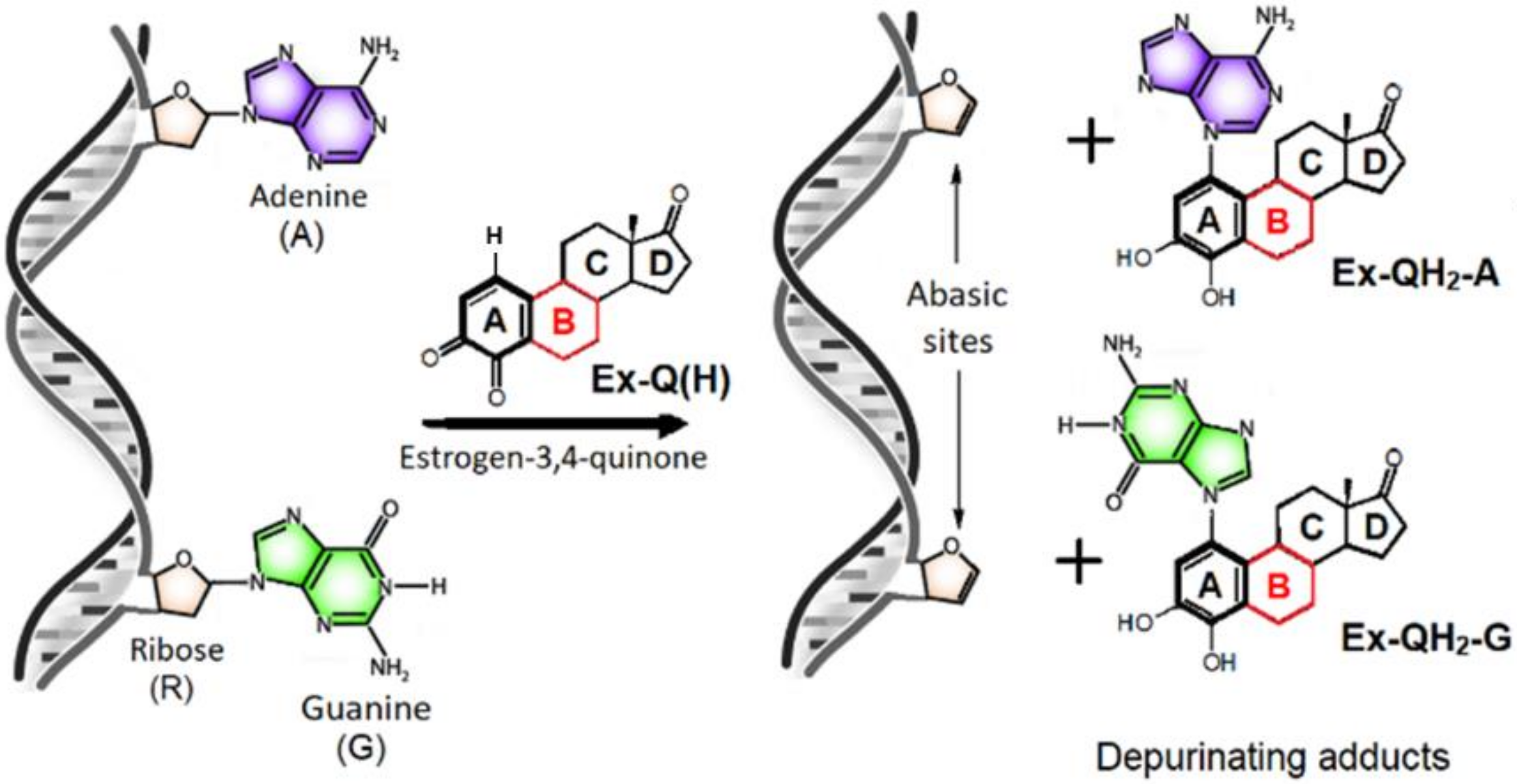 Symmetry 13 01641 g003 Symmetry 13 01641 g003