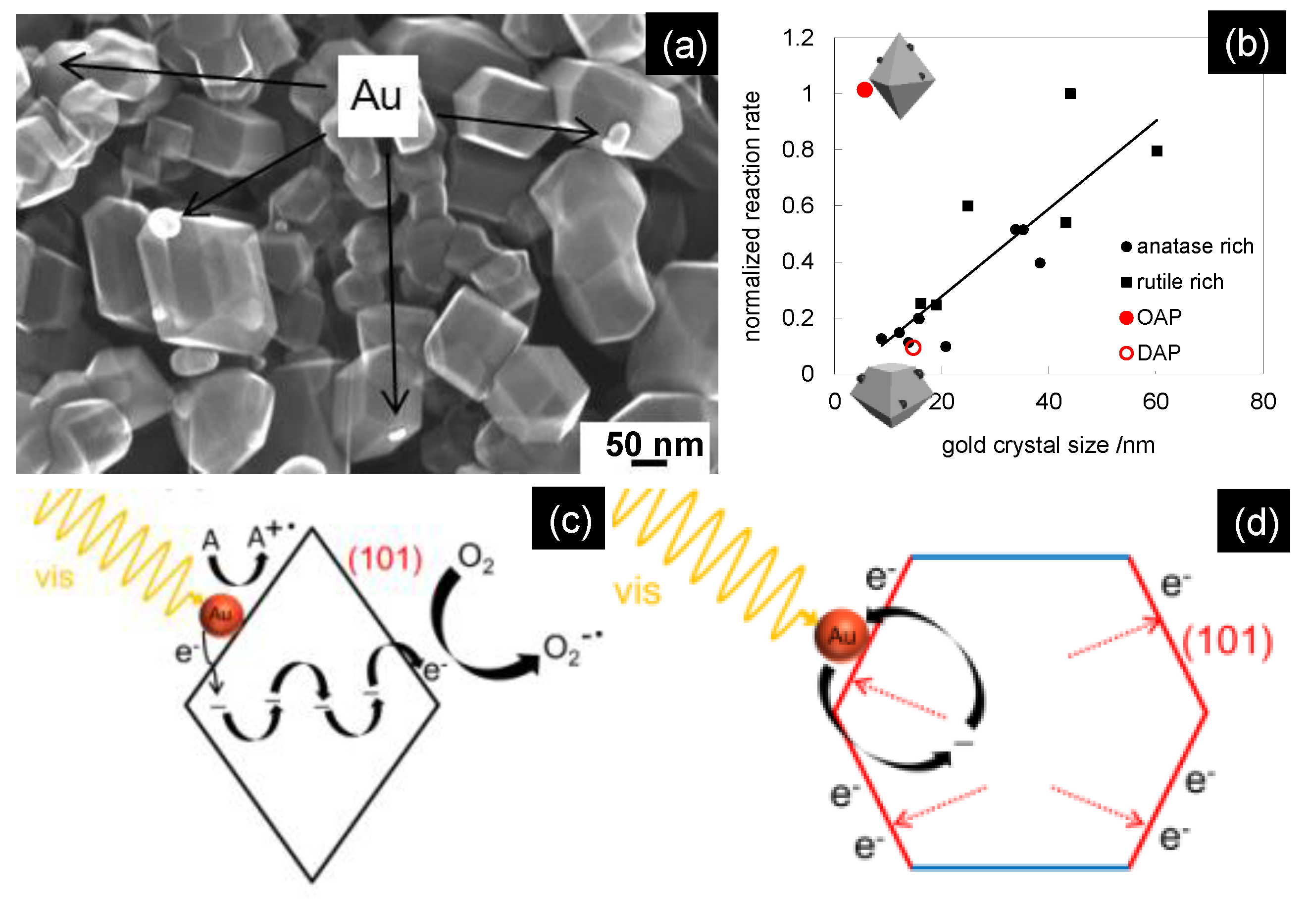 Symmetry 13 01682 g011