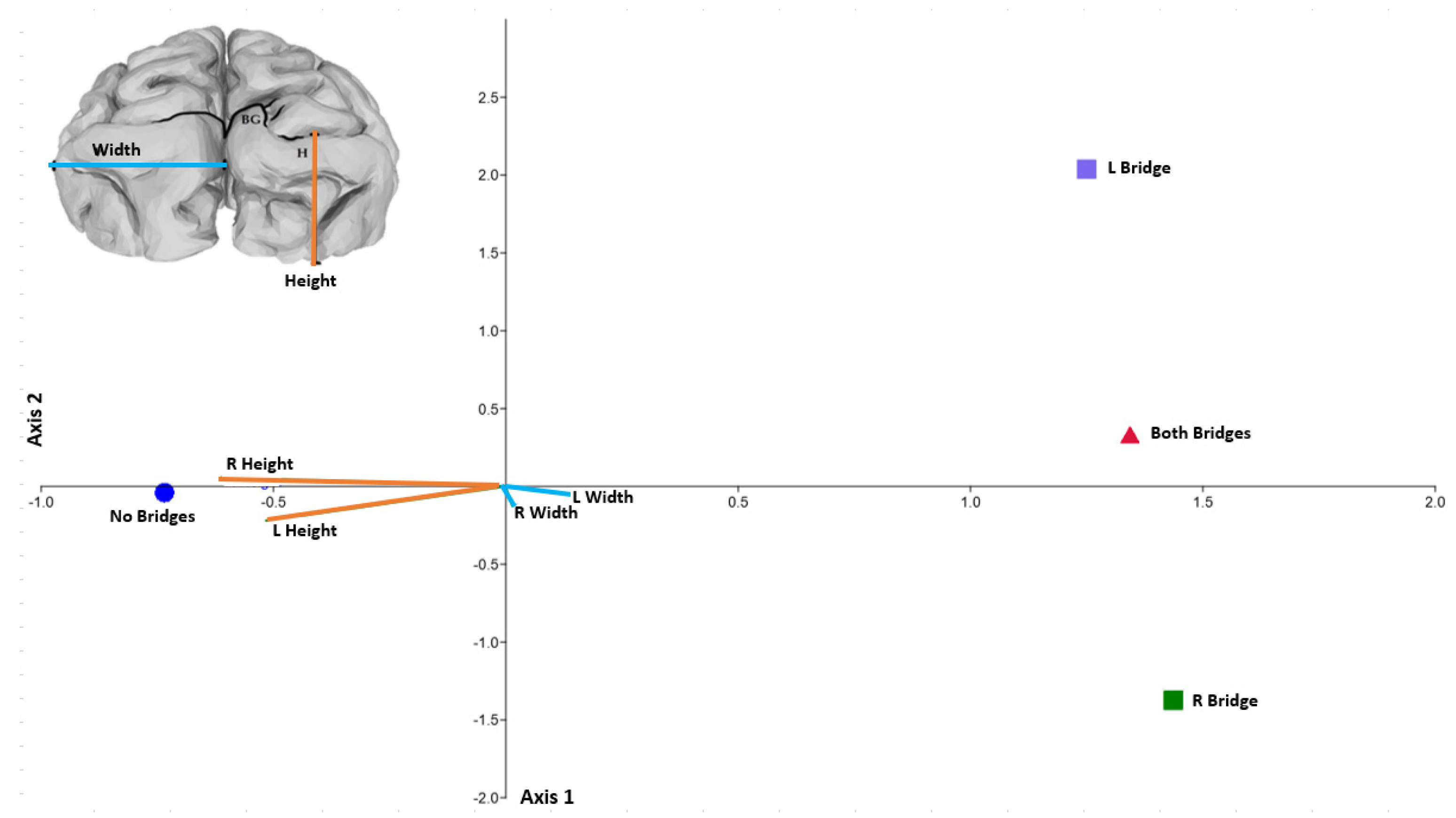 Symmetry 13 01862 g002