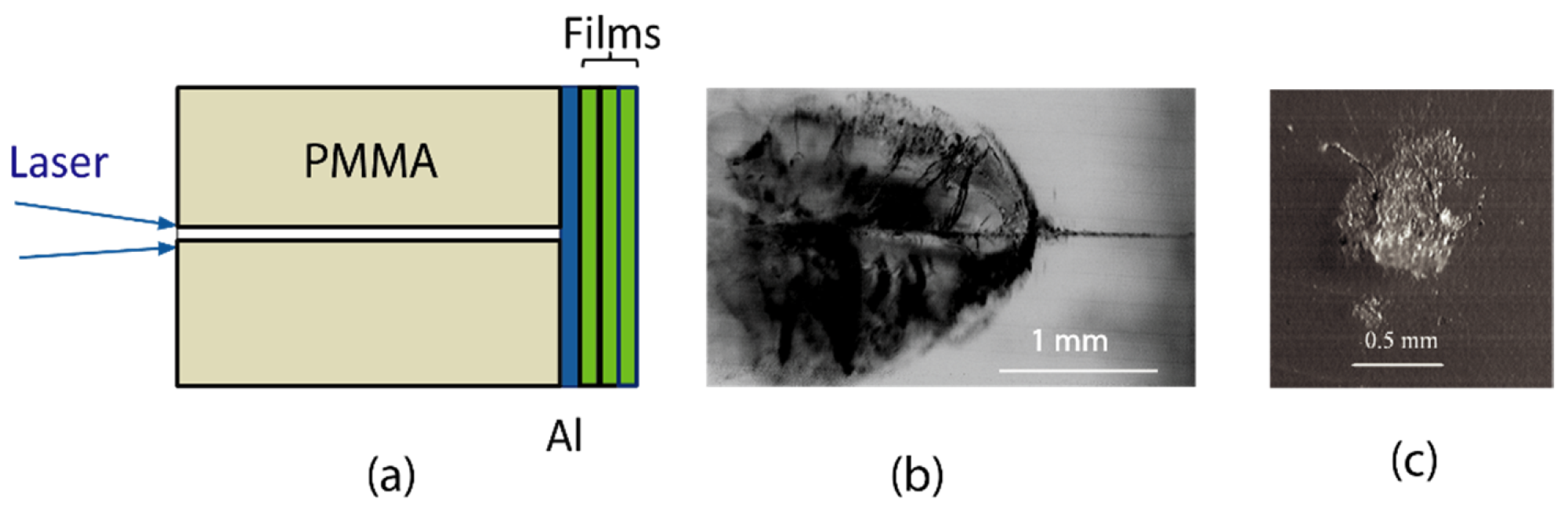 Symmetry 13 01883 g008